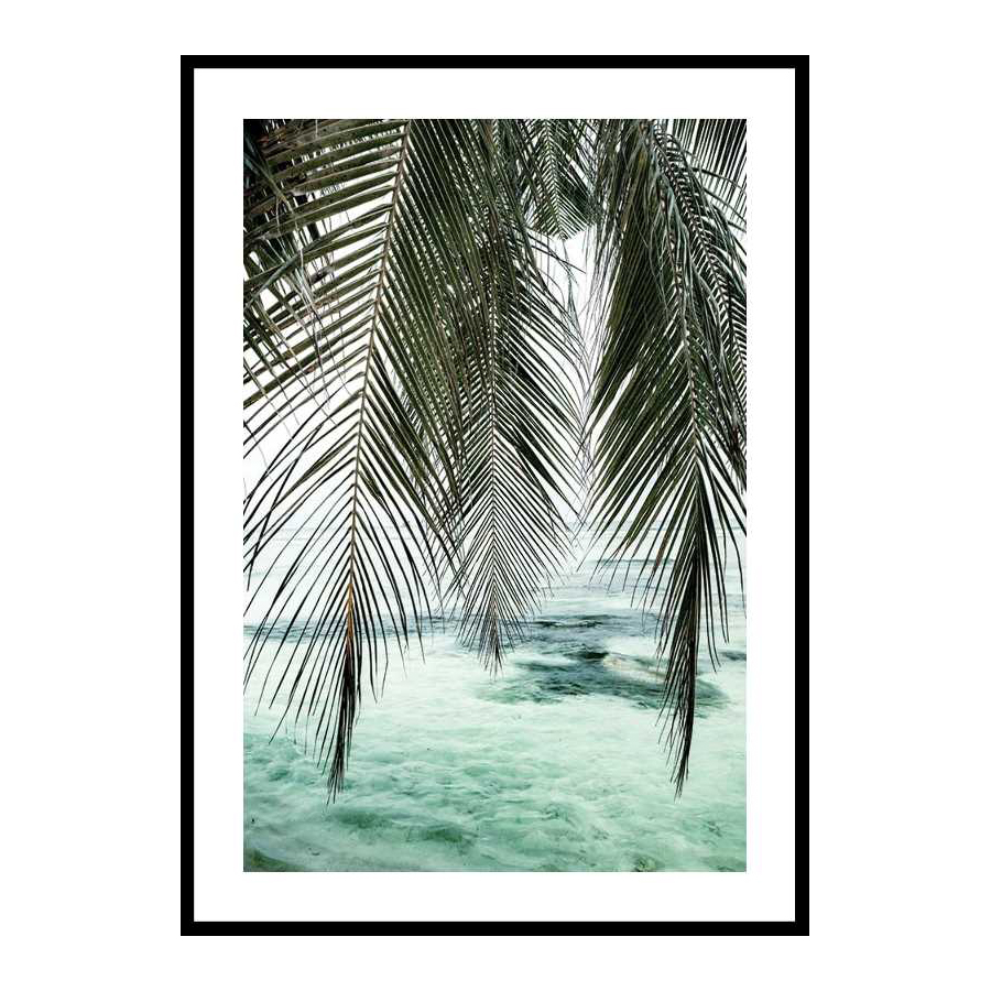 Poster Gallerix Palm Curtain