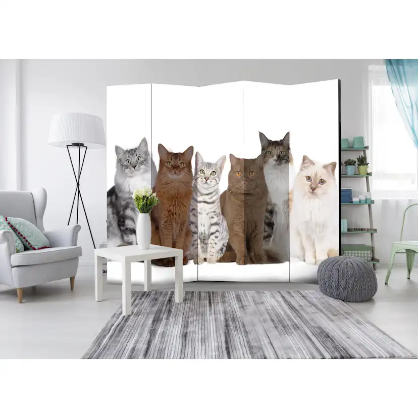 Rumsavdelare Arkiio Sweet Cats II 225x172 cm