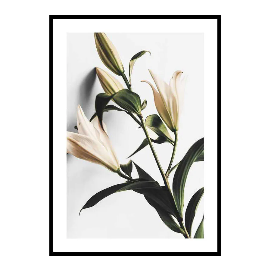Poster Gallerix Lilies