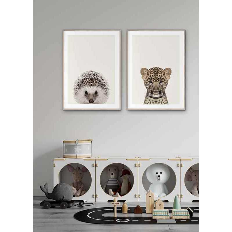 Poster Gallerix Baby Hedgehog