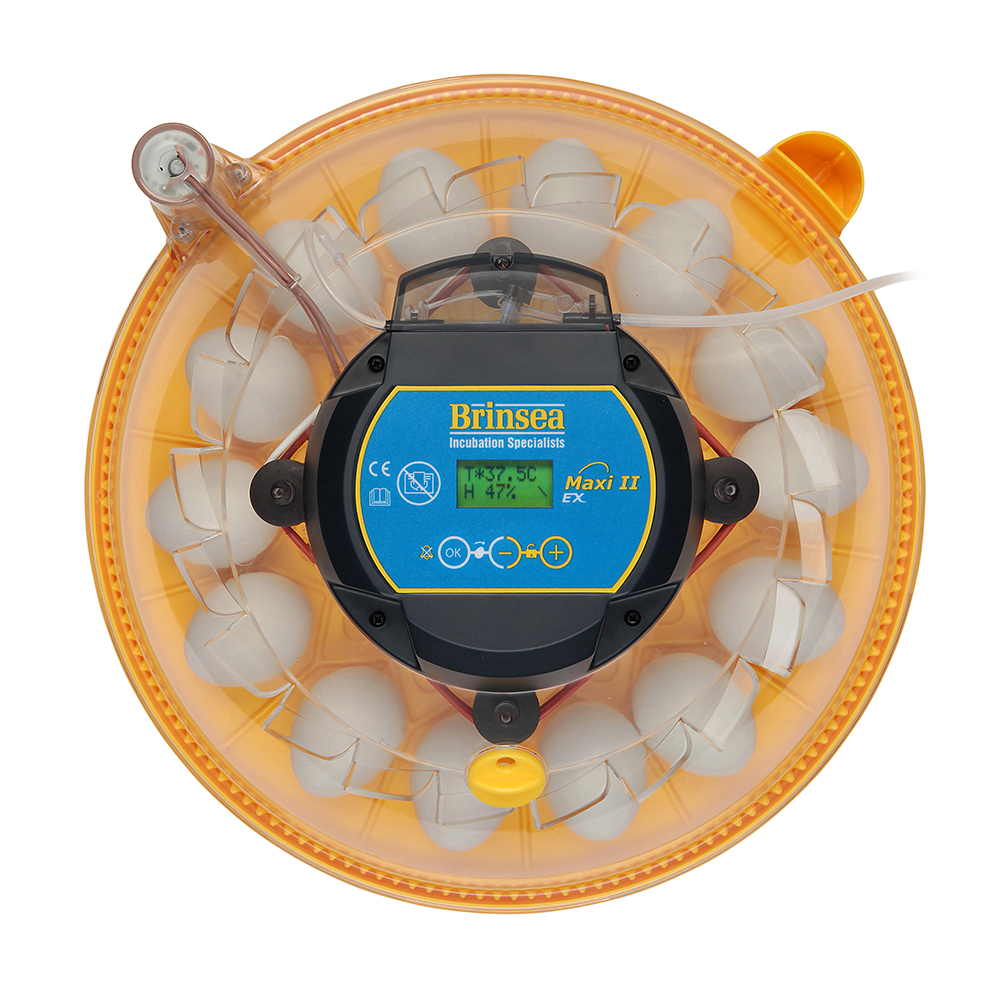 Äggkläckare Brinsea Maxi II EX
