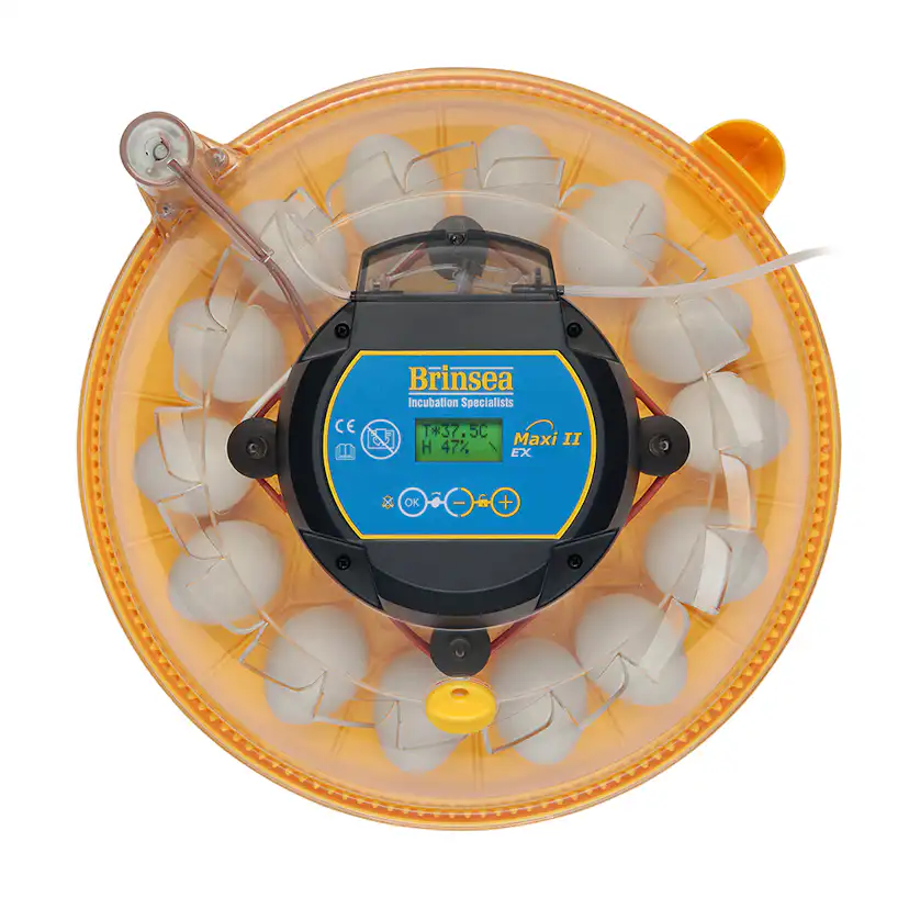 Äggkläckare Brinsea Maxi II EX