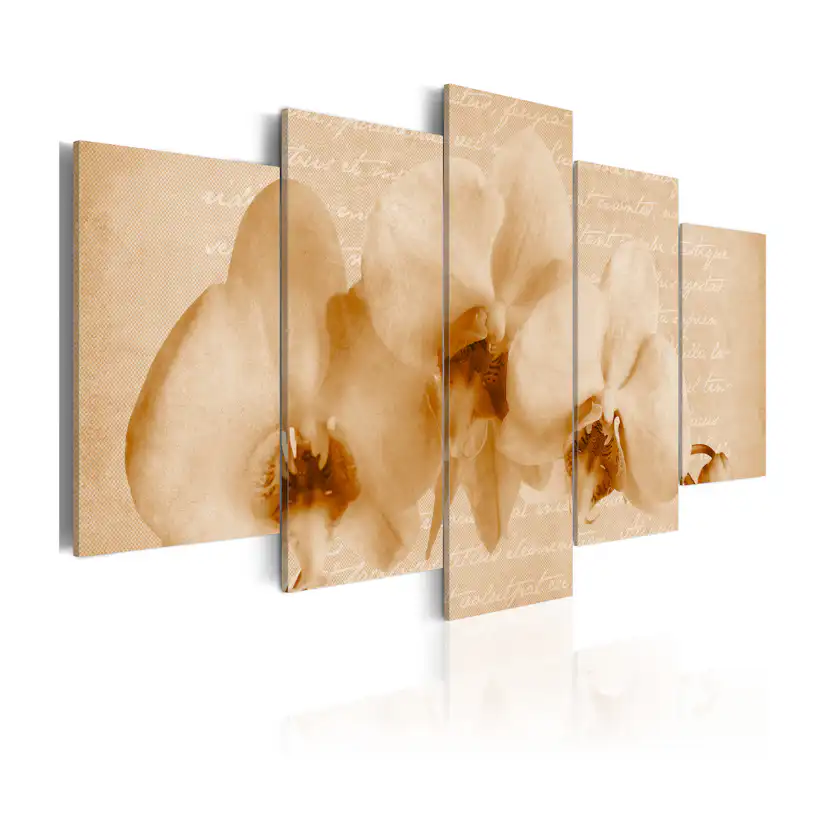 Tavla Arkiio Orkidéer