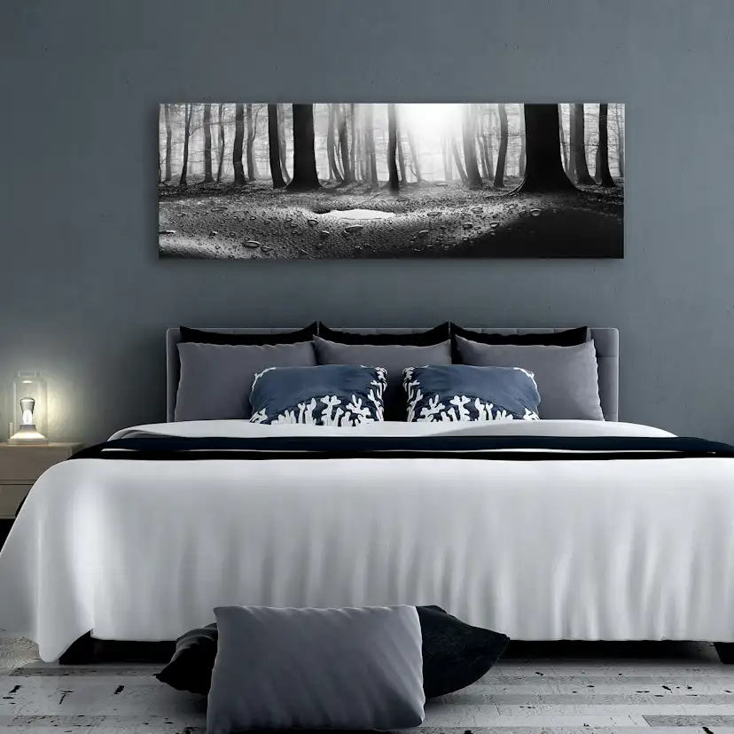 Tavla Arkiio Forest After Rain