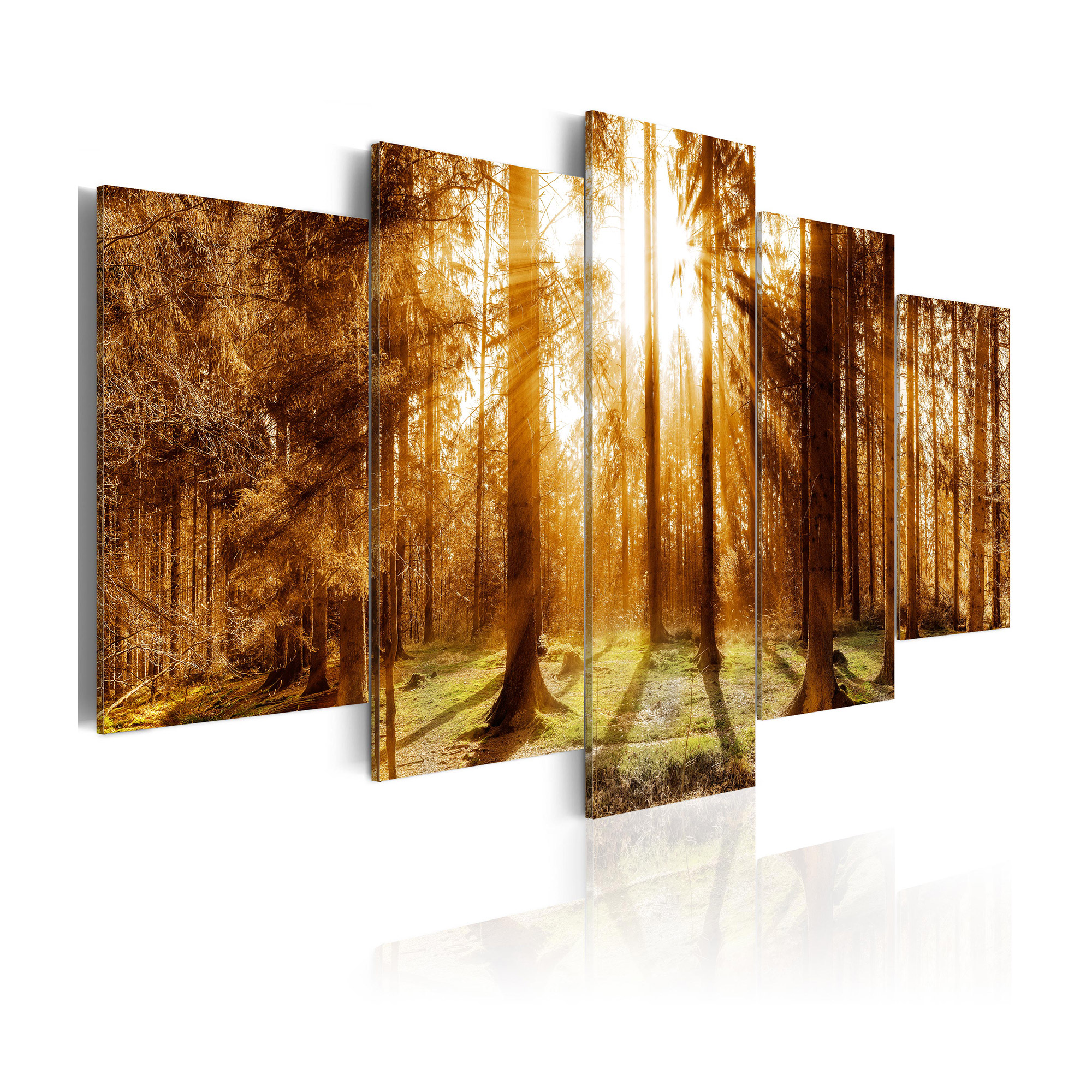 Tavla Arkiio Forest Illumination