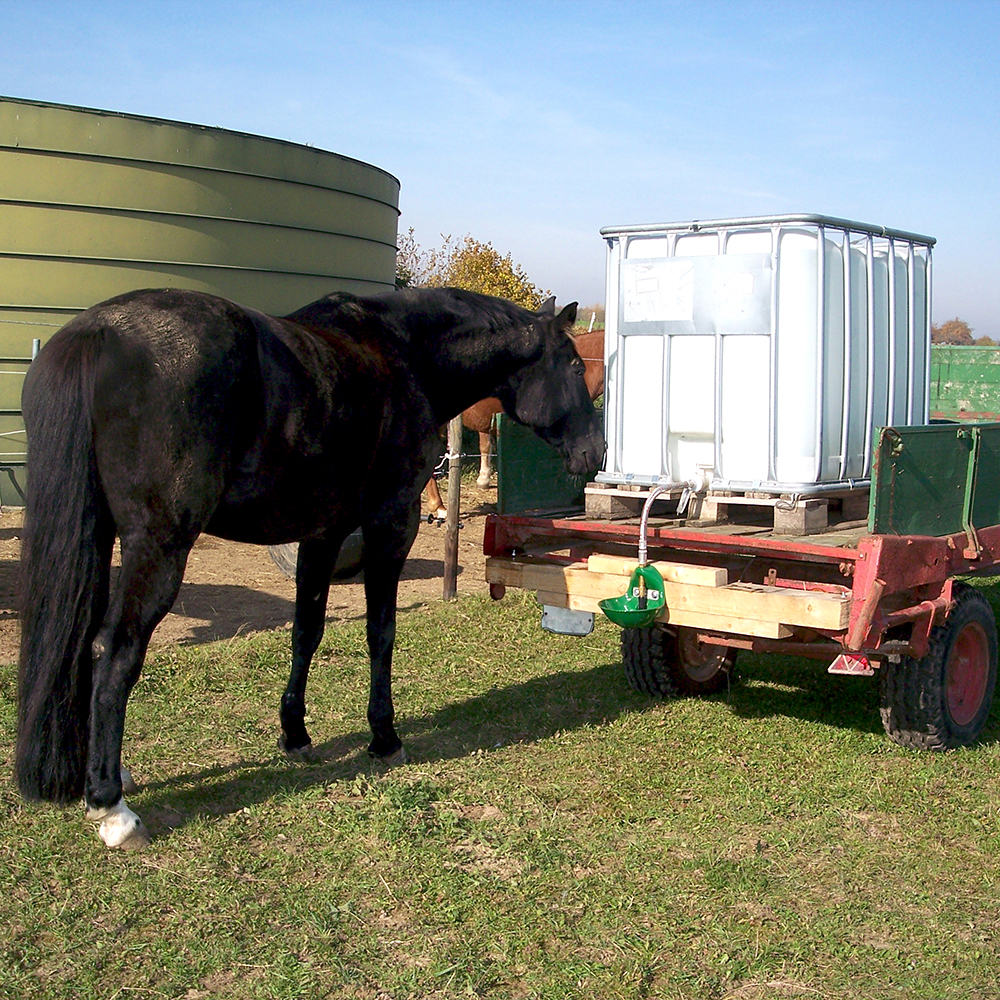 Anslutningsslang Suevia till IBC Container 1000 liter