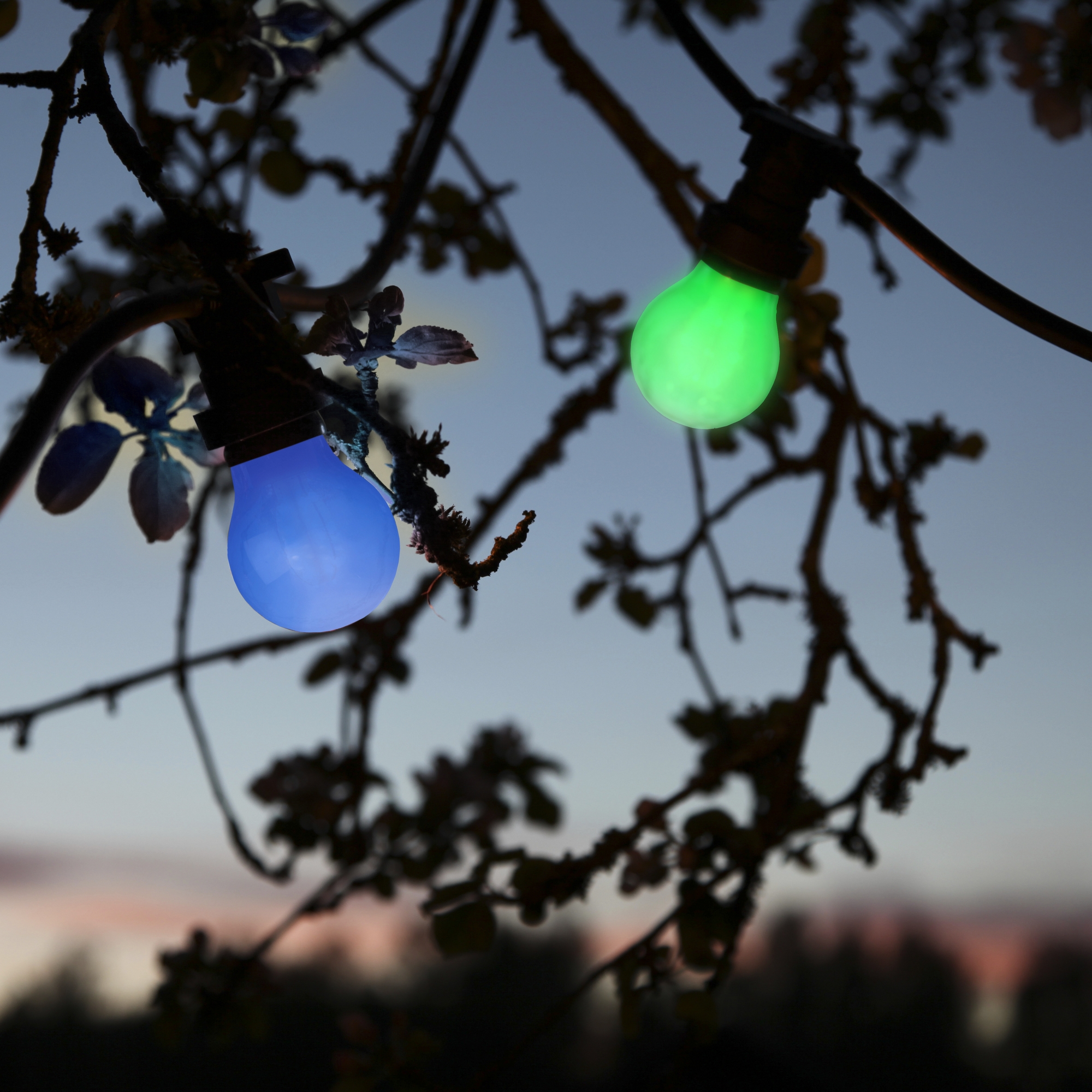 LED-lampa Star Trading B22 A55 Outdoor Lighting Grön 0,9W
