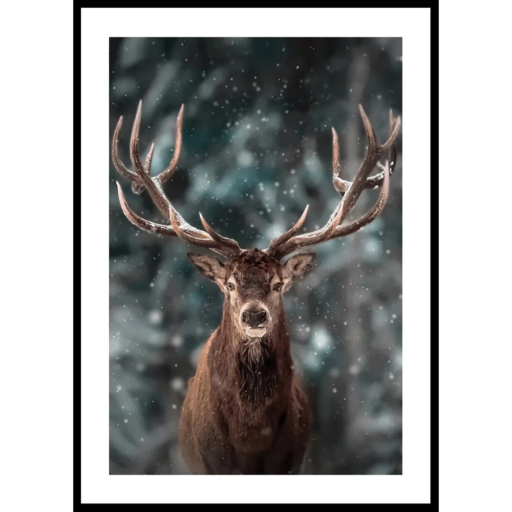 Poster Gallerix Majestic Deer