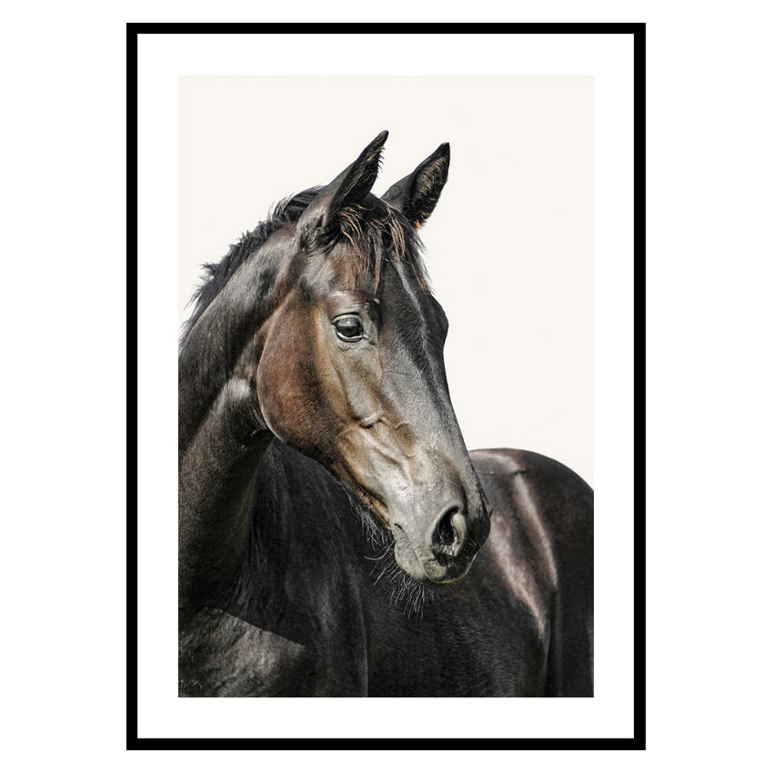 Poster Gallerix Brown Horse