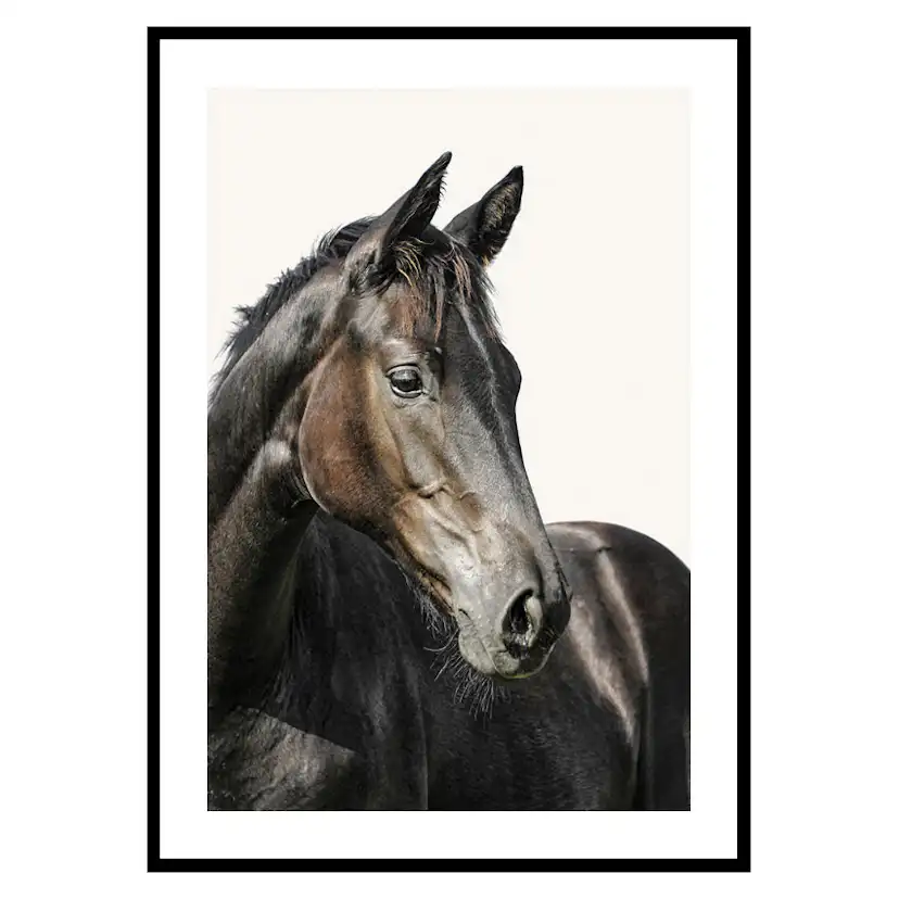 Poster Gallerix Brown Horse