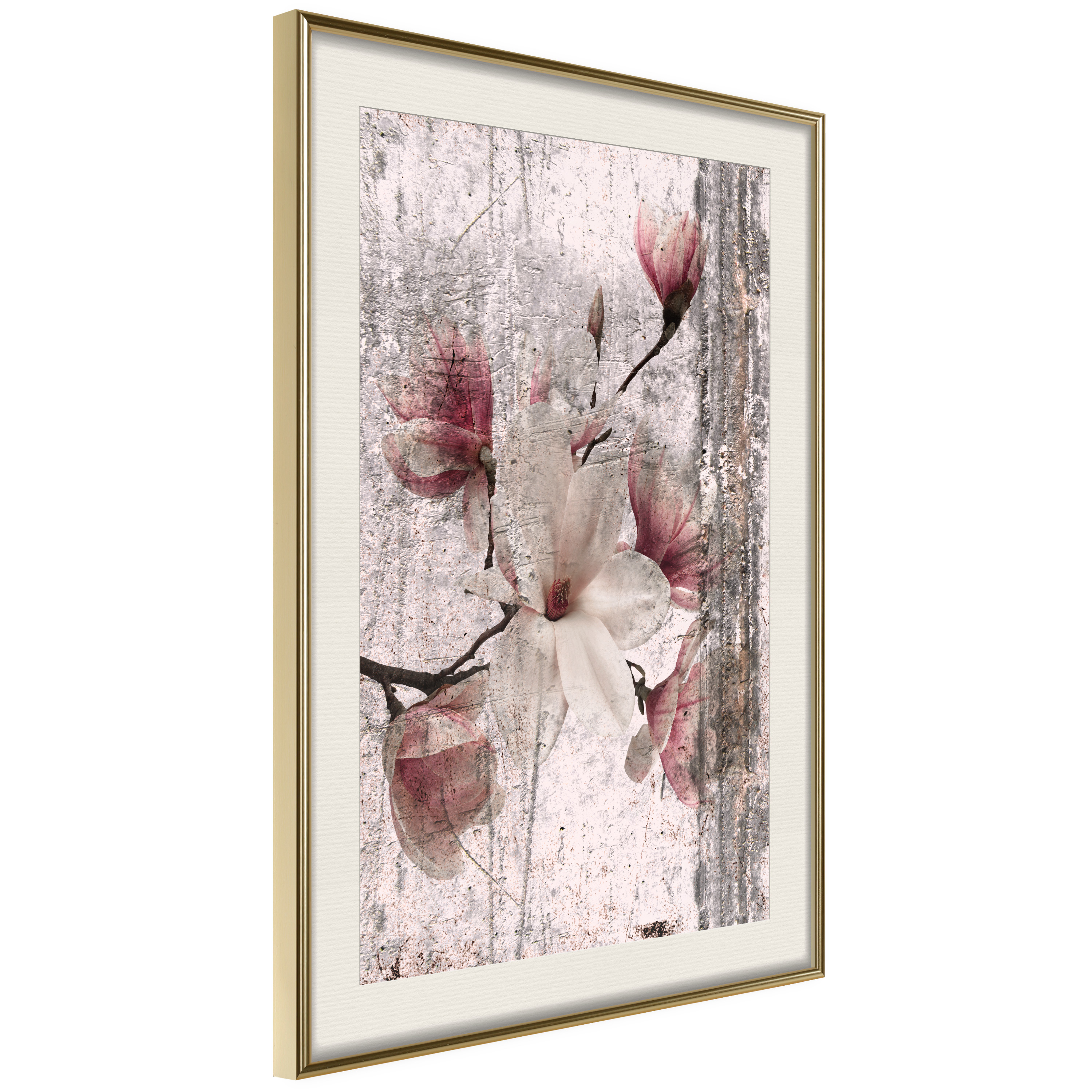 Affisch - Memorial Magnolia [Poster] 20x30 Guld ram med passepartout, 20x30 cm