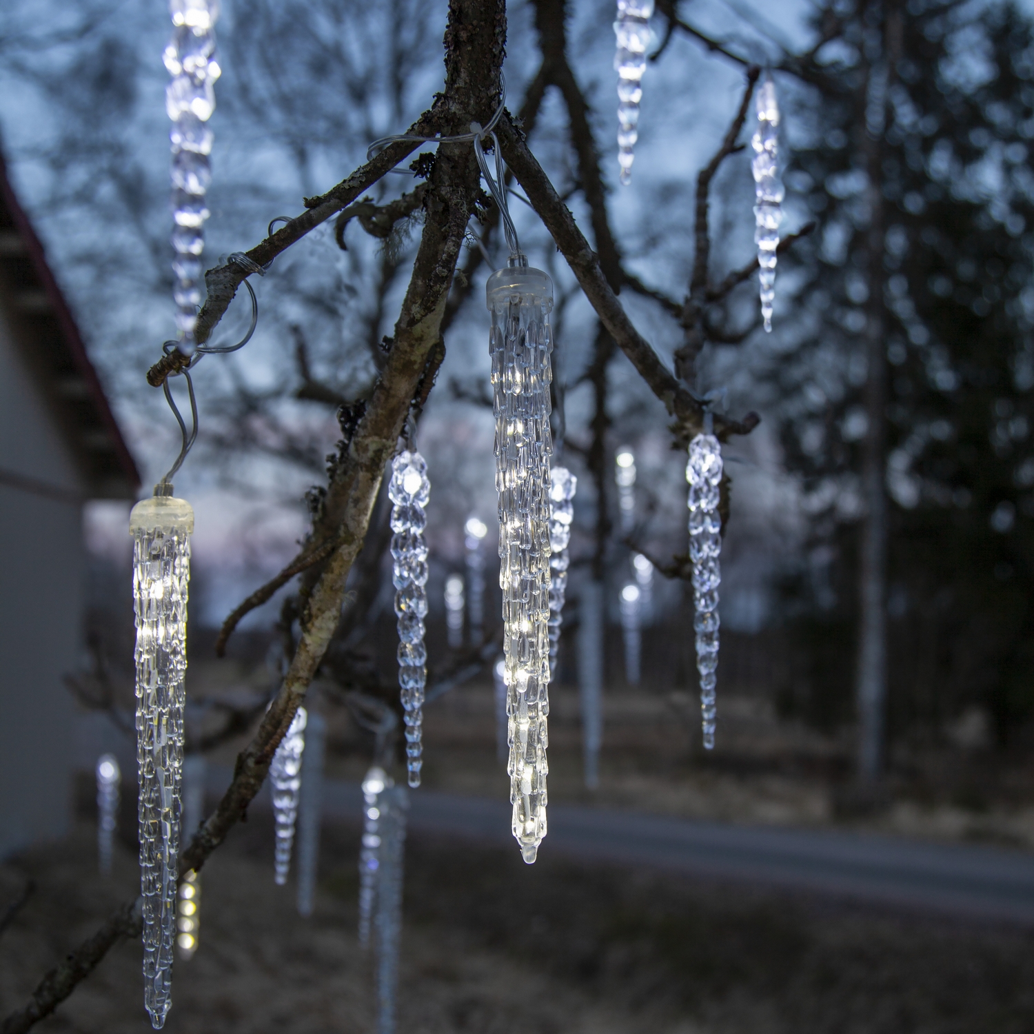 Istappsslinga Star Trading Gelido 24 st