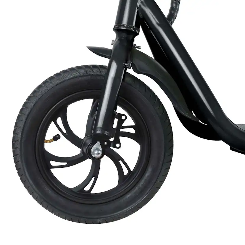 Elscooter Swoop ES800