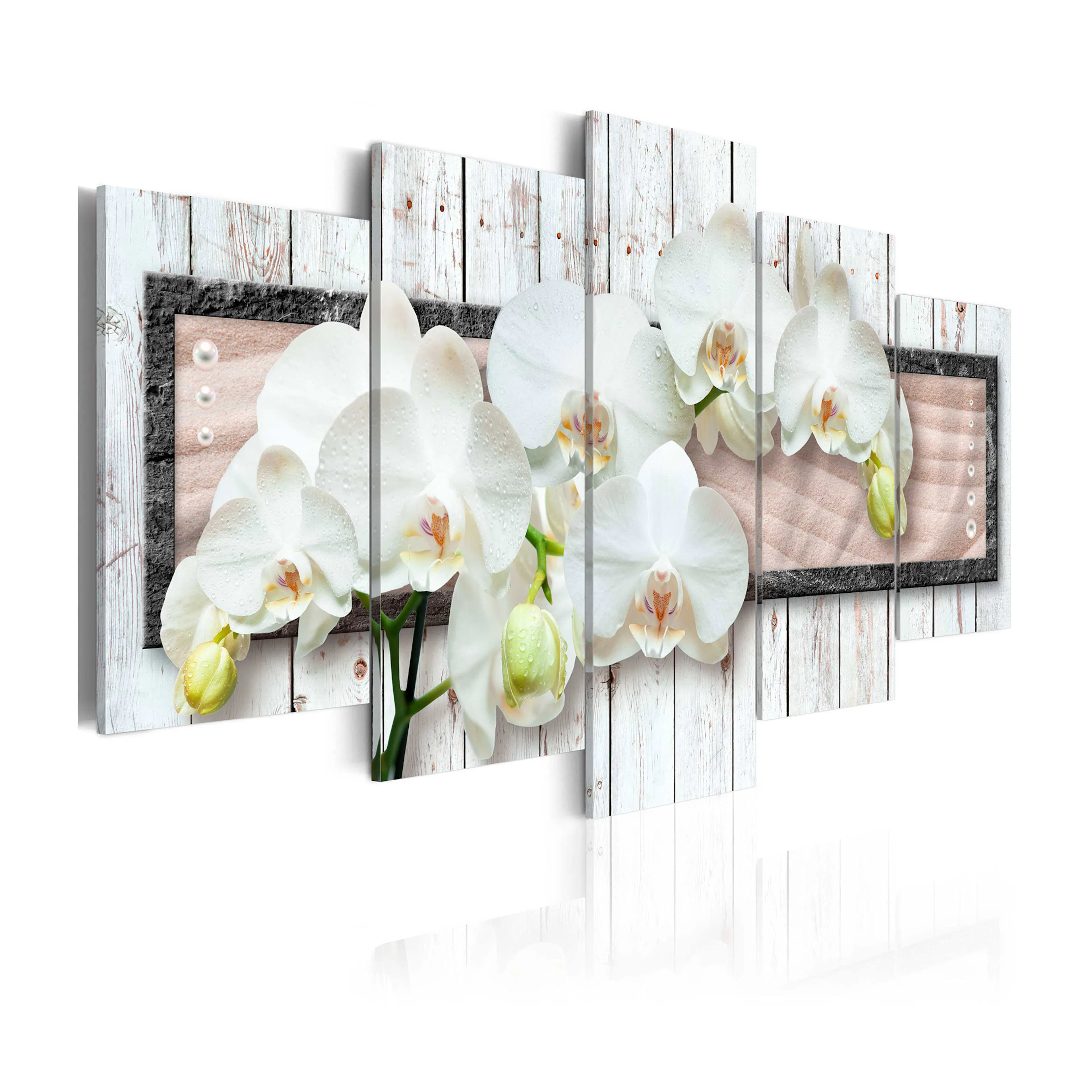 Tavla Arkiio  Summer Dream