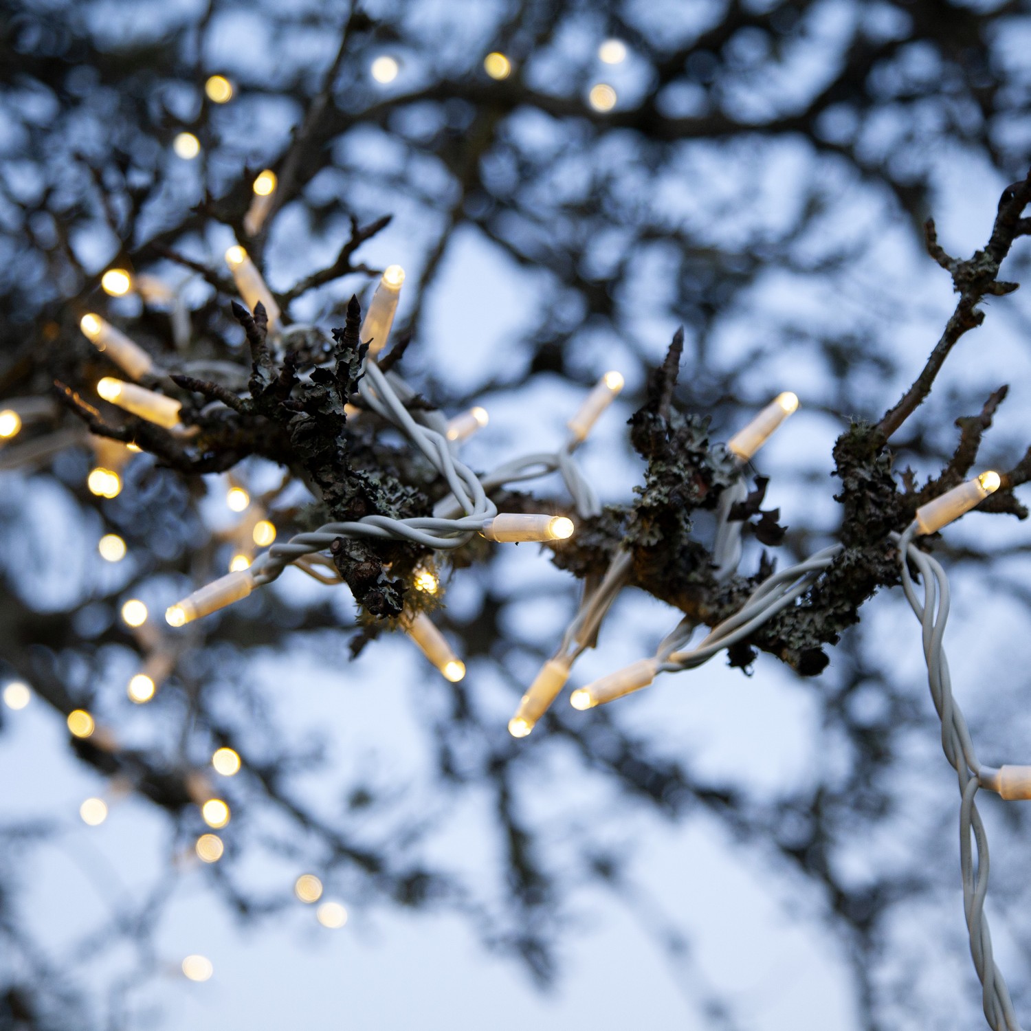 Ljusslinga Star Trading Extra System LED 50L Tillägg