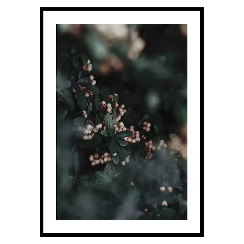 Poster Gallerix Forest Vegetation