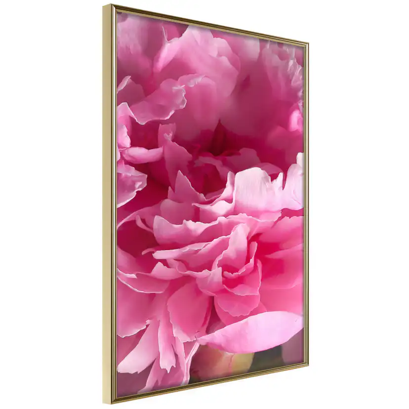 Poster Artgeist Affisch Beautiful Peonies