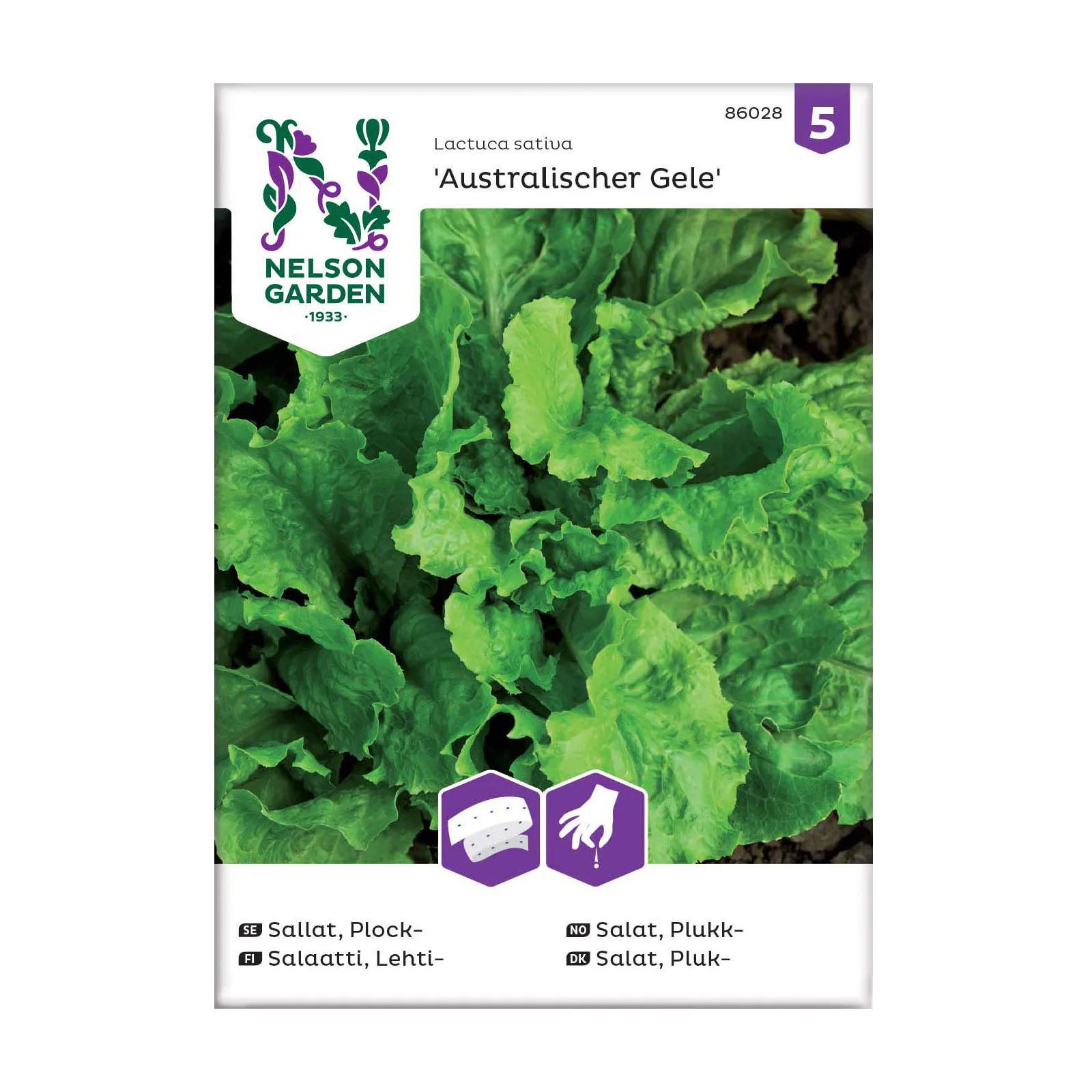 Frö Plocksallat Nelson Garden Australische Såband