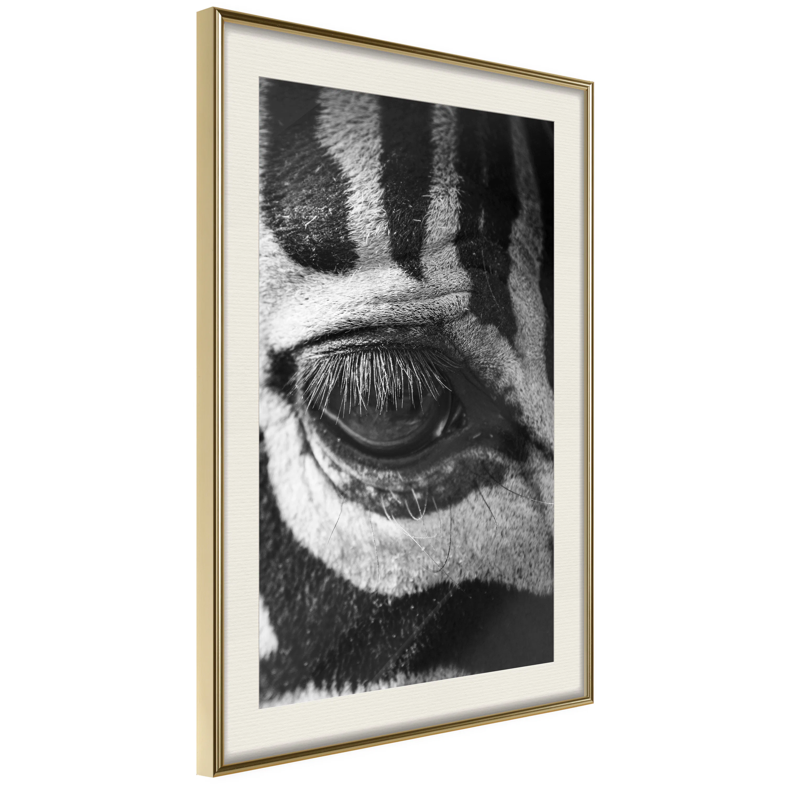 Poster Artgeist Affisch Zebra Eye