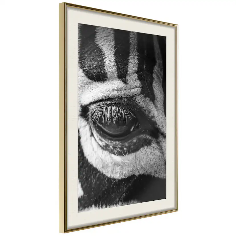 Poster Artgeist Affisch Zebra Eye