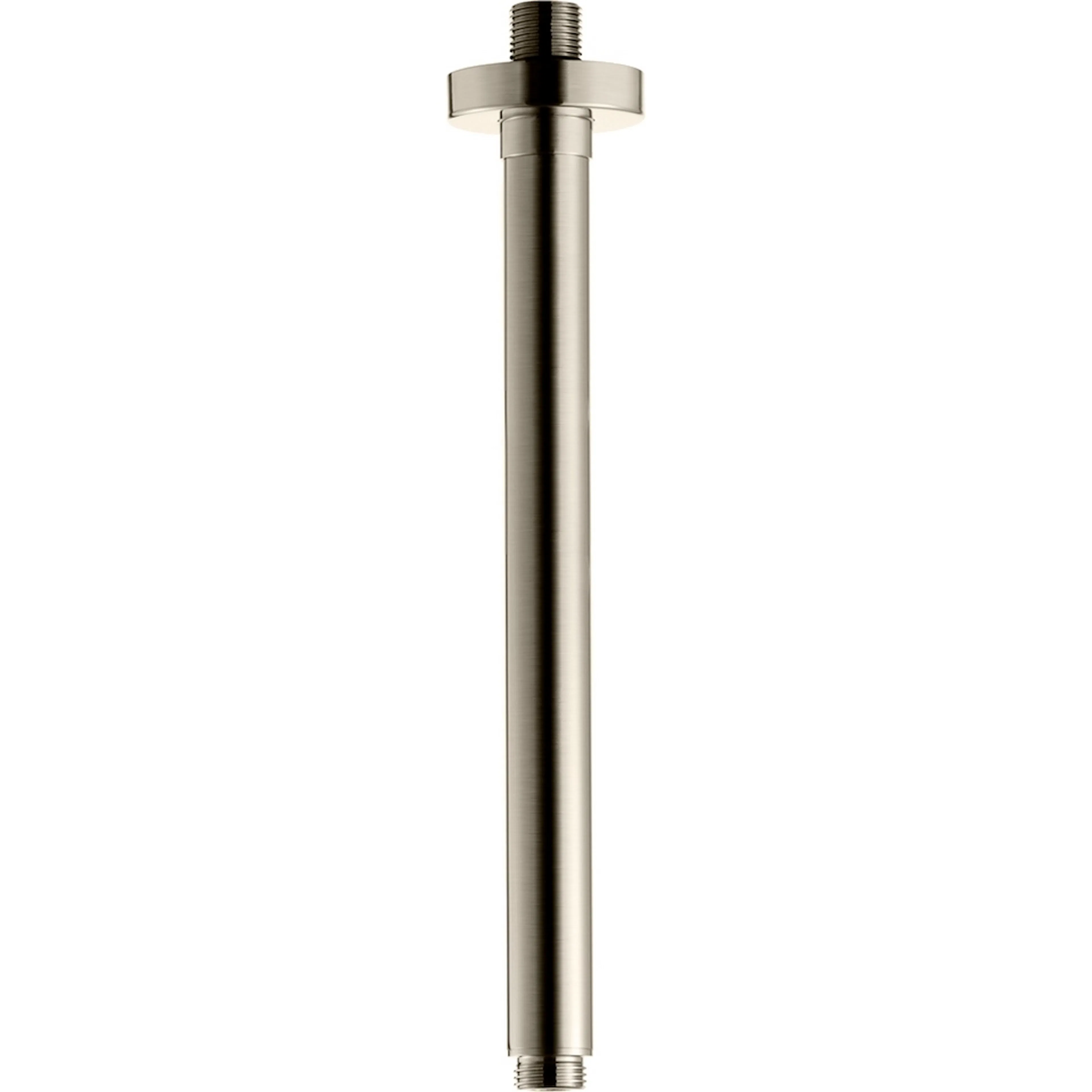 Borstad Nickel