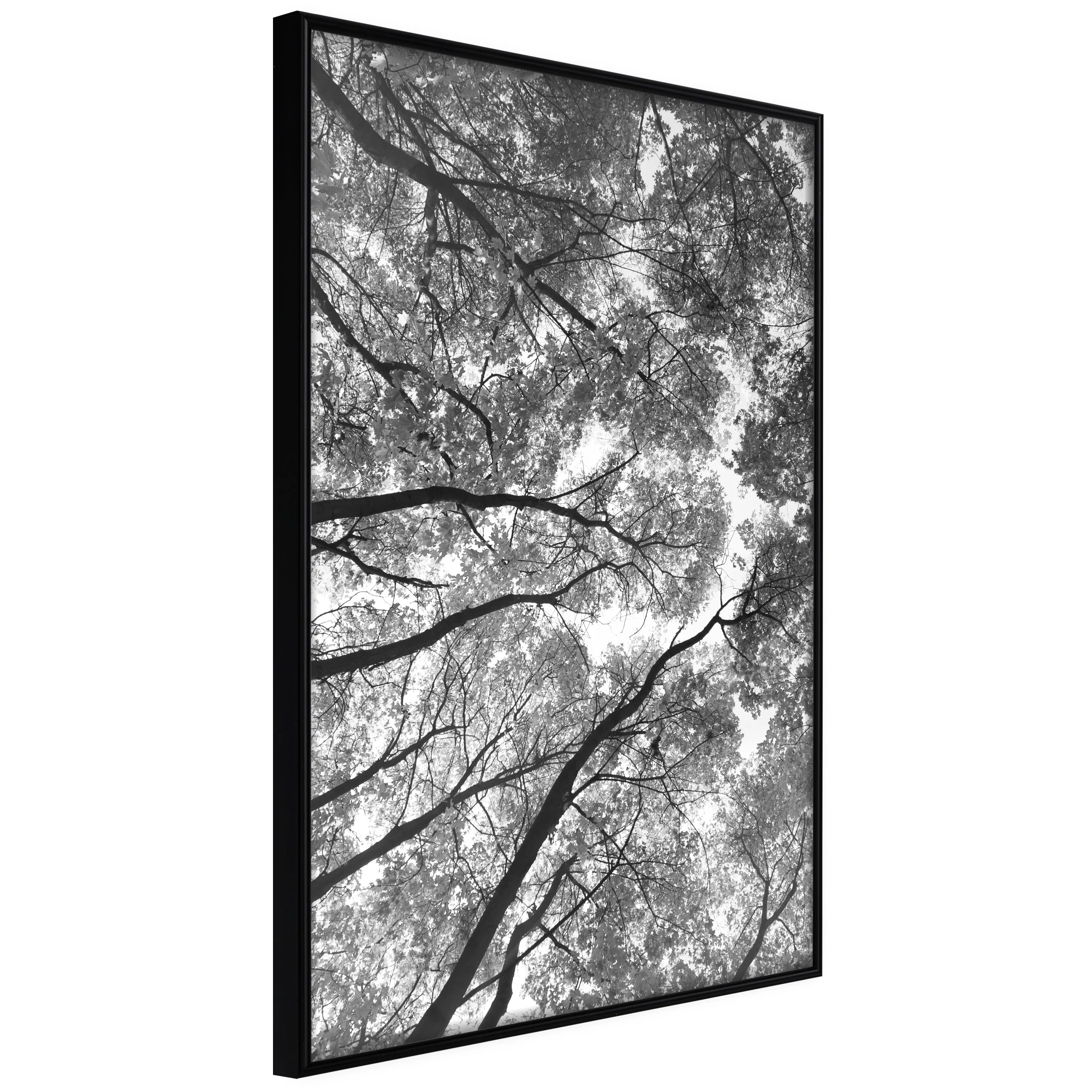 Poster Artgeist Affisch High Trees