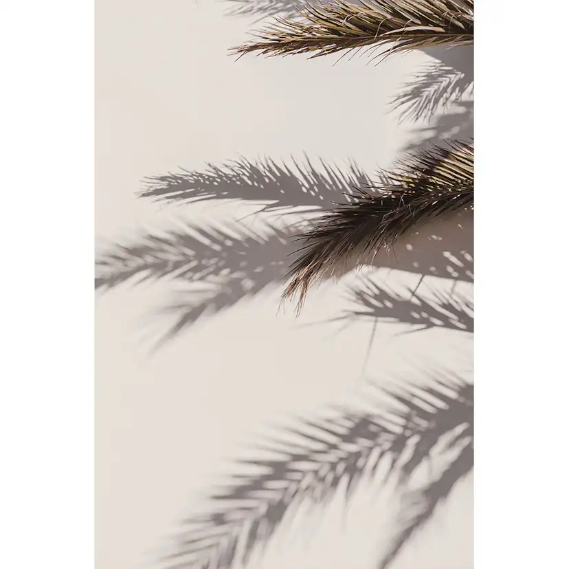 Posters Venture Home Shadow Beige