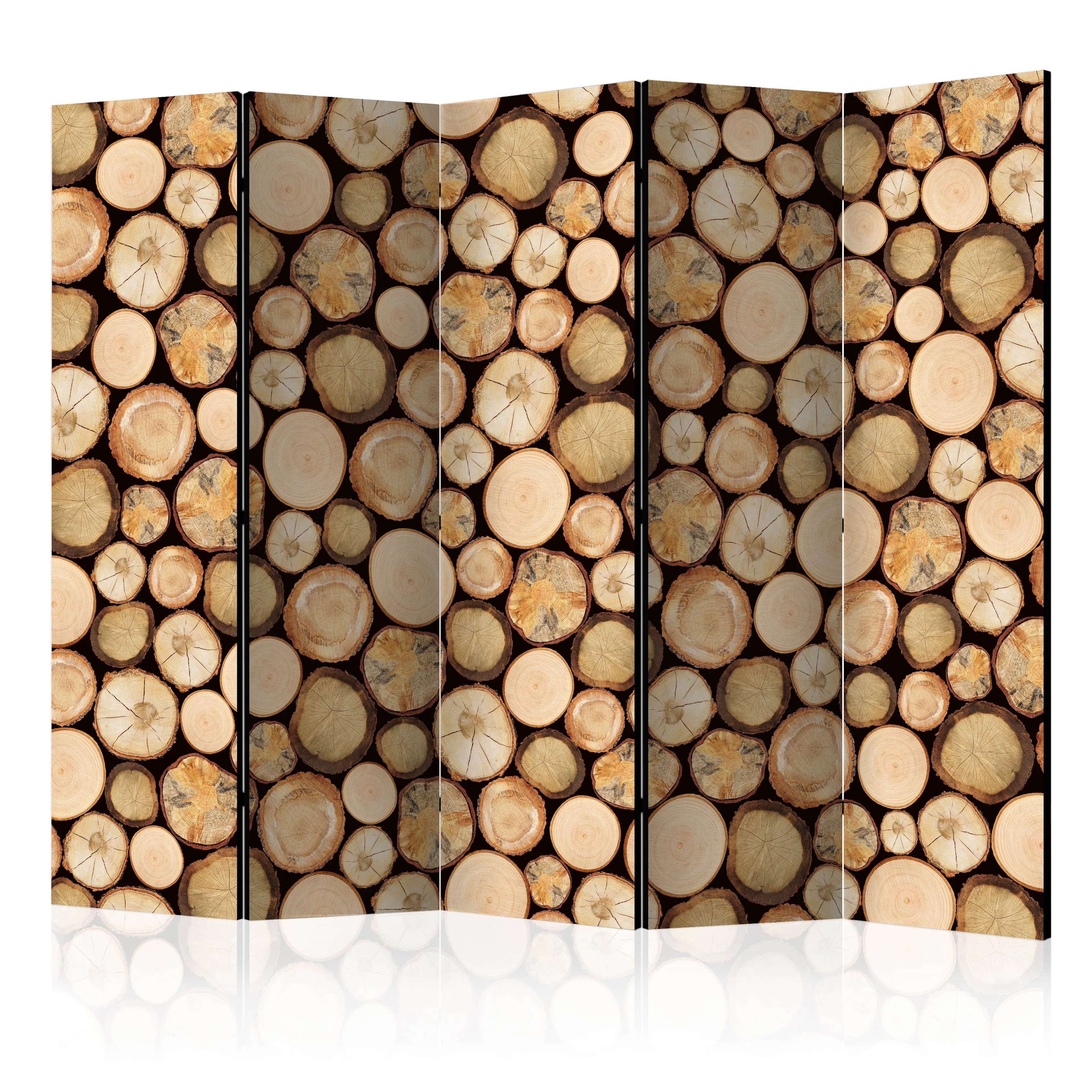 Rumsavdelare Arkiio In Sawmill II 225x172 cm