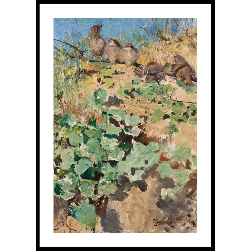 Poster Gallerix Törnskateungar By Bruno Liljefors