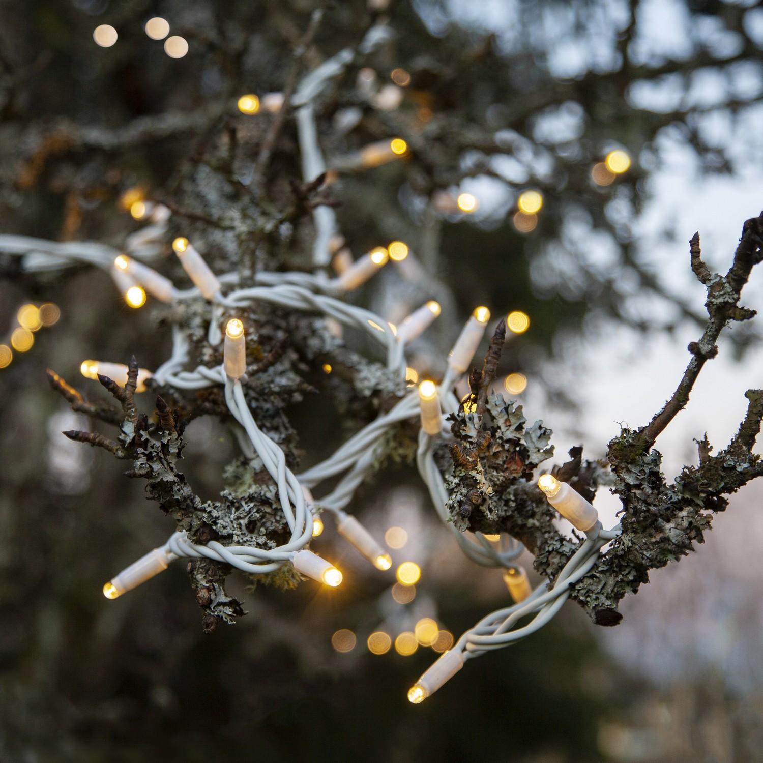 Ljusslinga Star Trading Extra System LED 50L Tillägg