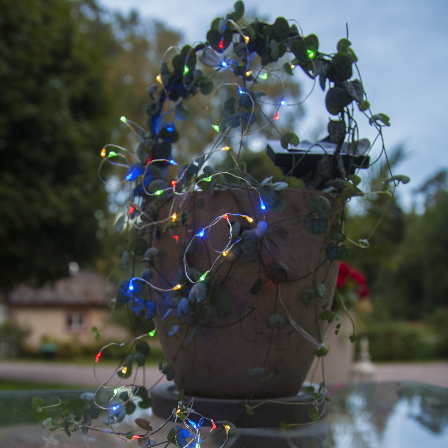 Solcells-ljusslinga Star Trading Dew Drop