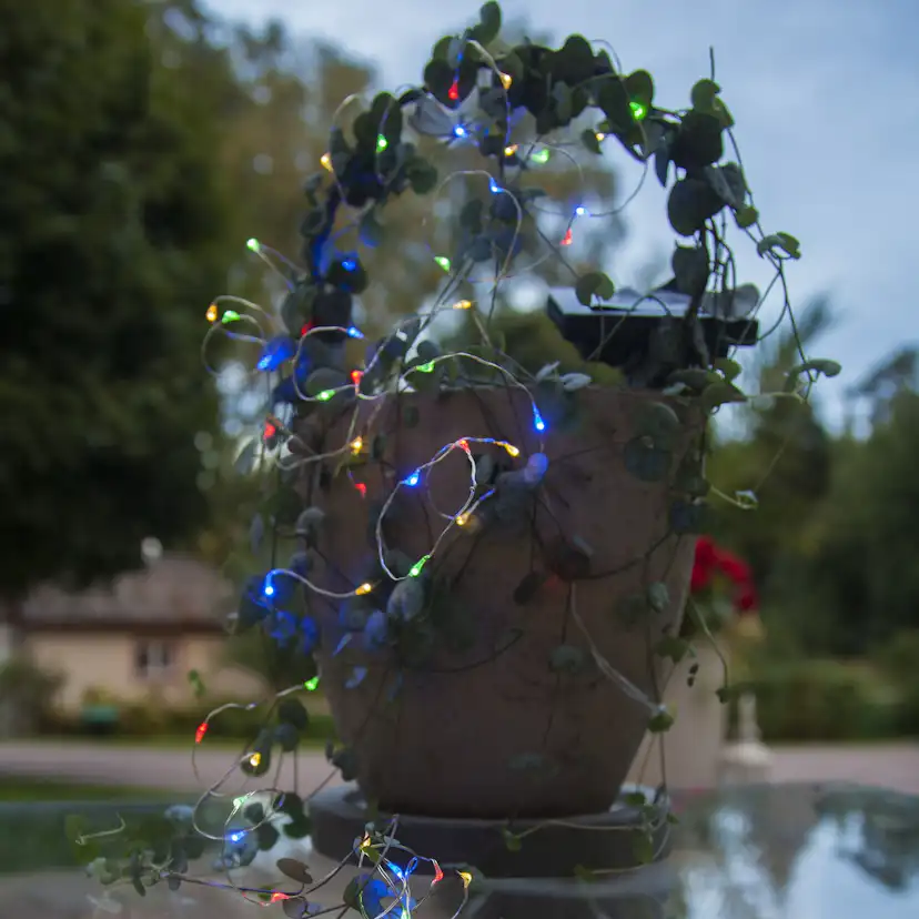 Solcells-ljusslinga Star Trading Dew Drop