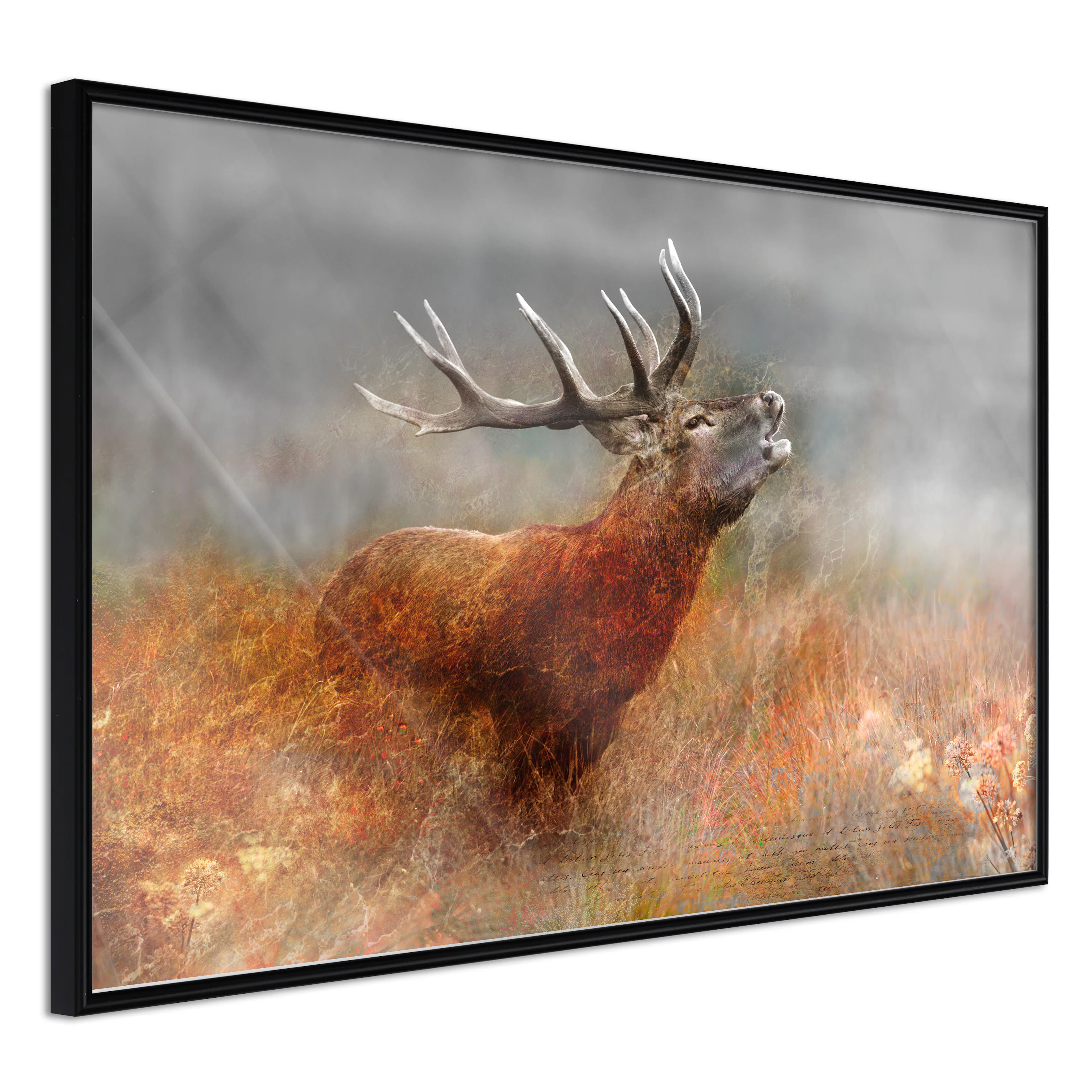 Affisch - Roaring Deer [Poster] 60x40 Svart ram, 60x40 cm