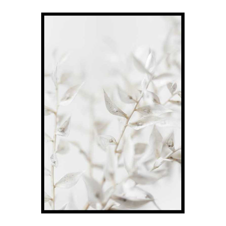 Poster Gallerix White Dried Flower