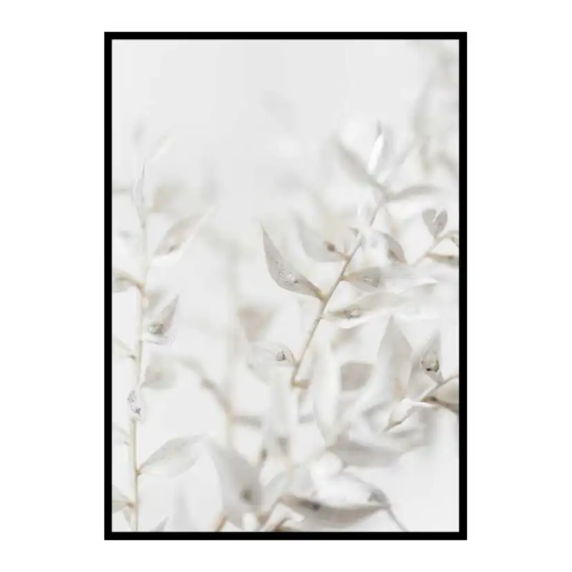Poster Gallerix White Dried Flower