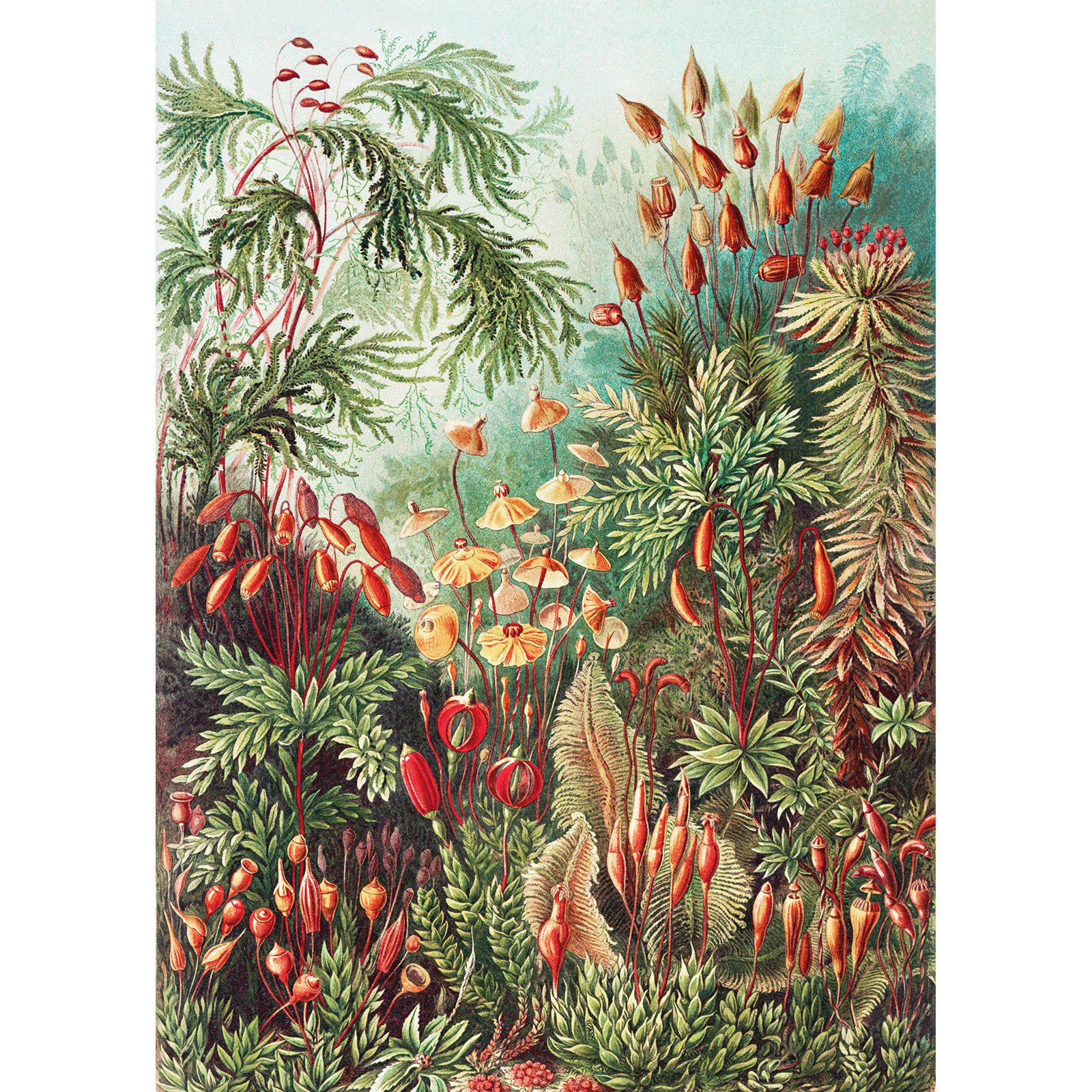 Hängande Affisch Art for the Home Forest 80x60