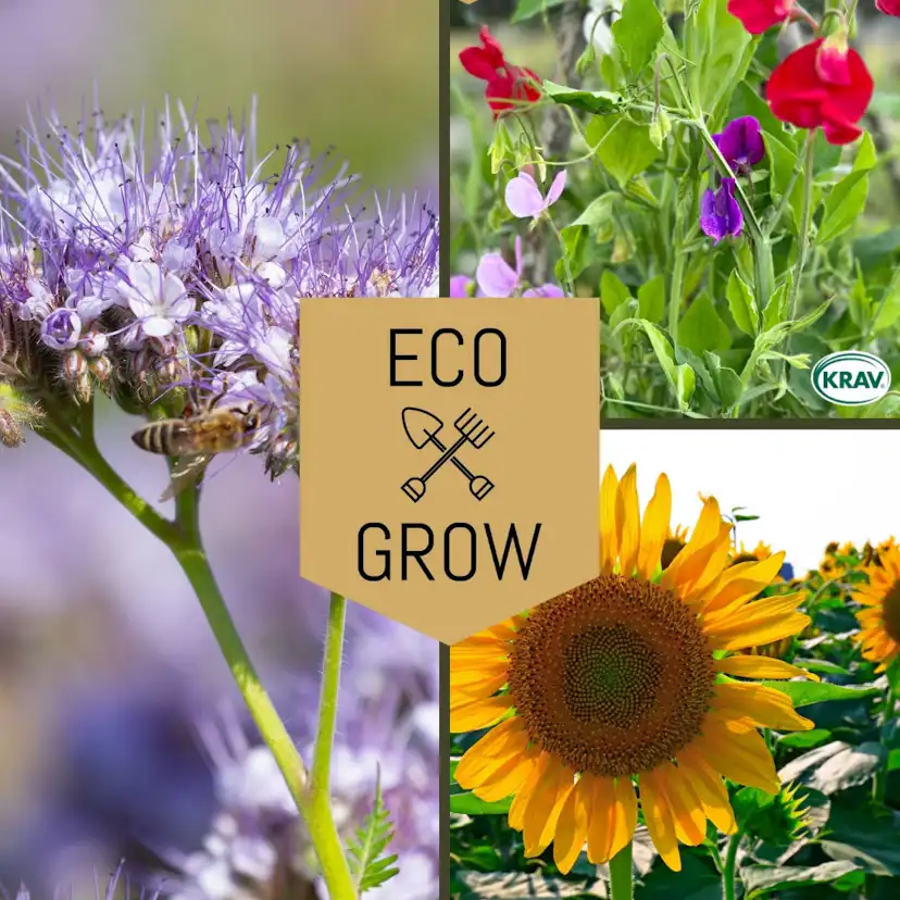 Blomfröer Eco Grow Pollinatörmix - Blommor för Bin 3-pack