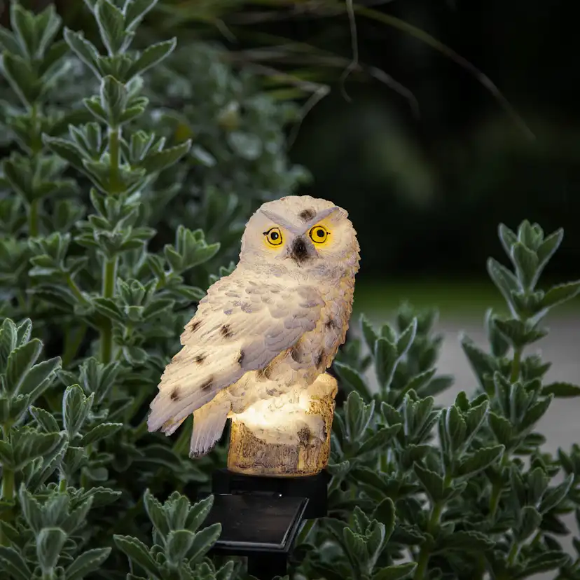 Solcellsdekoration Star Trading Owl LED Solcellslampa