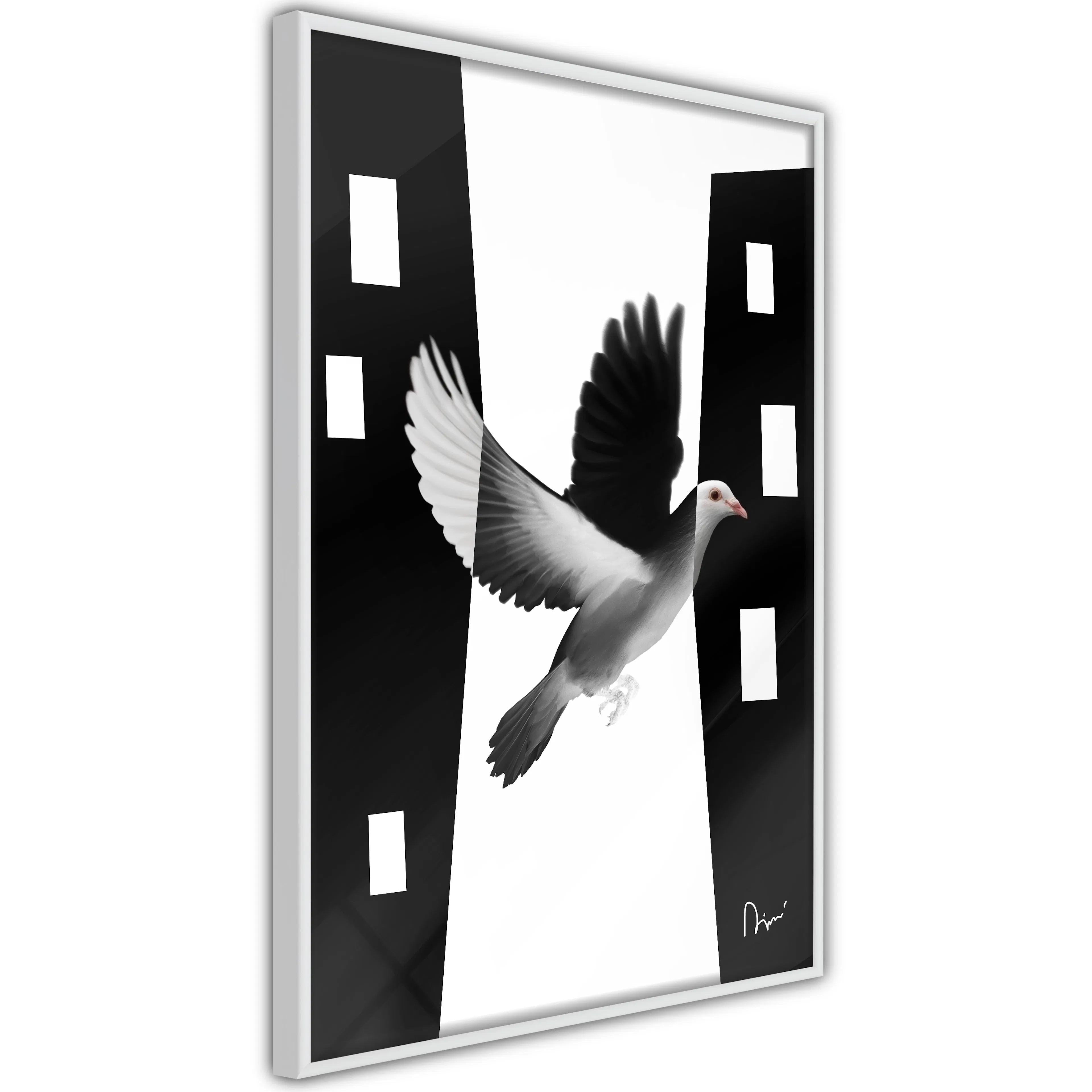 Poster Artgeist Affisch White Dove