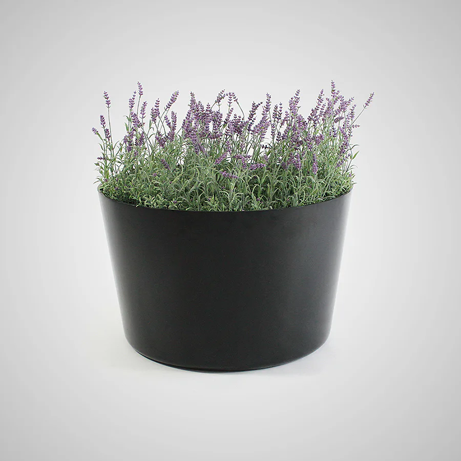 Planteringskärl Formenta Happy