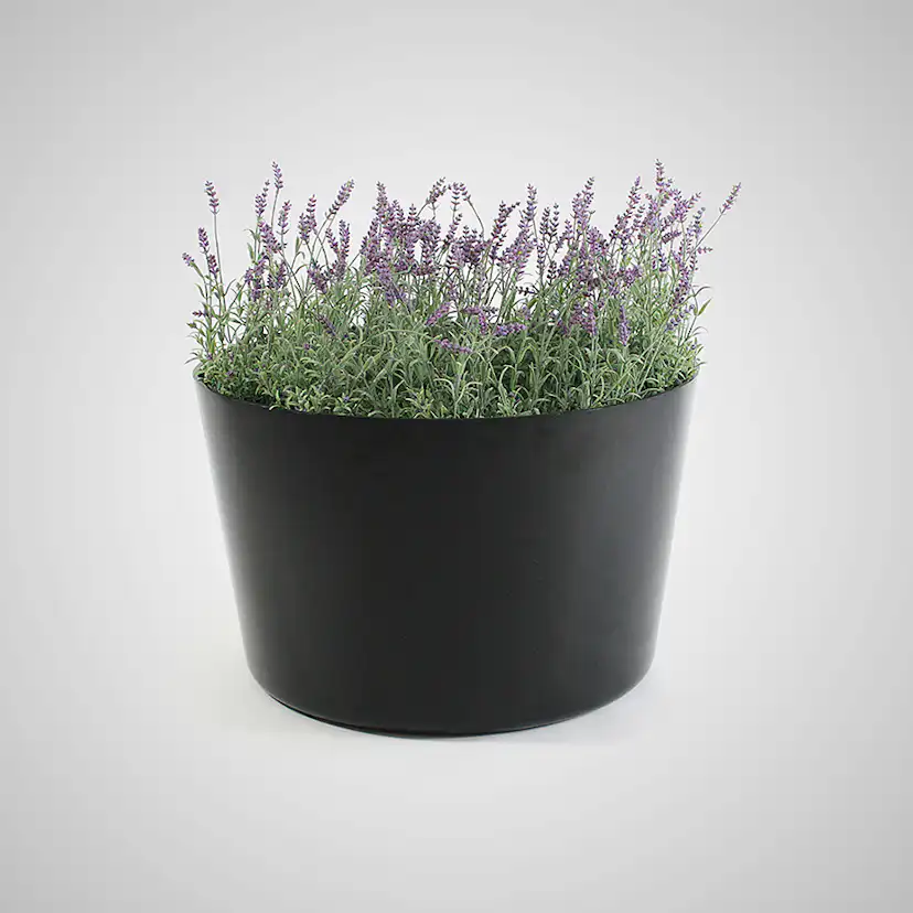 Planteringskärl Formenta Happy