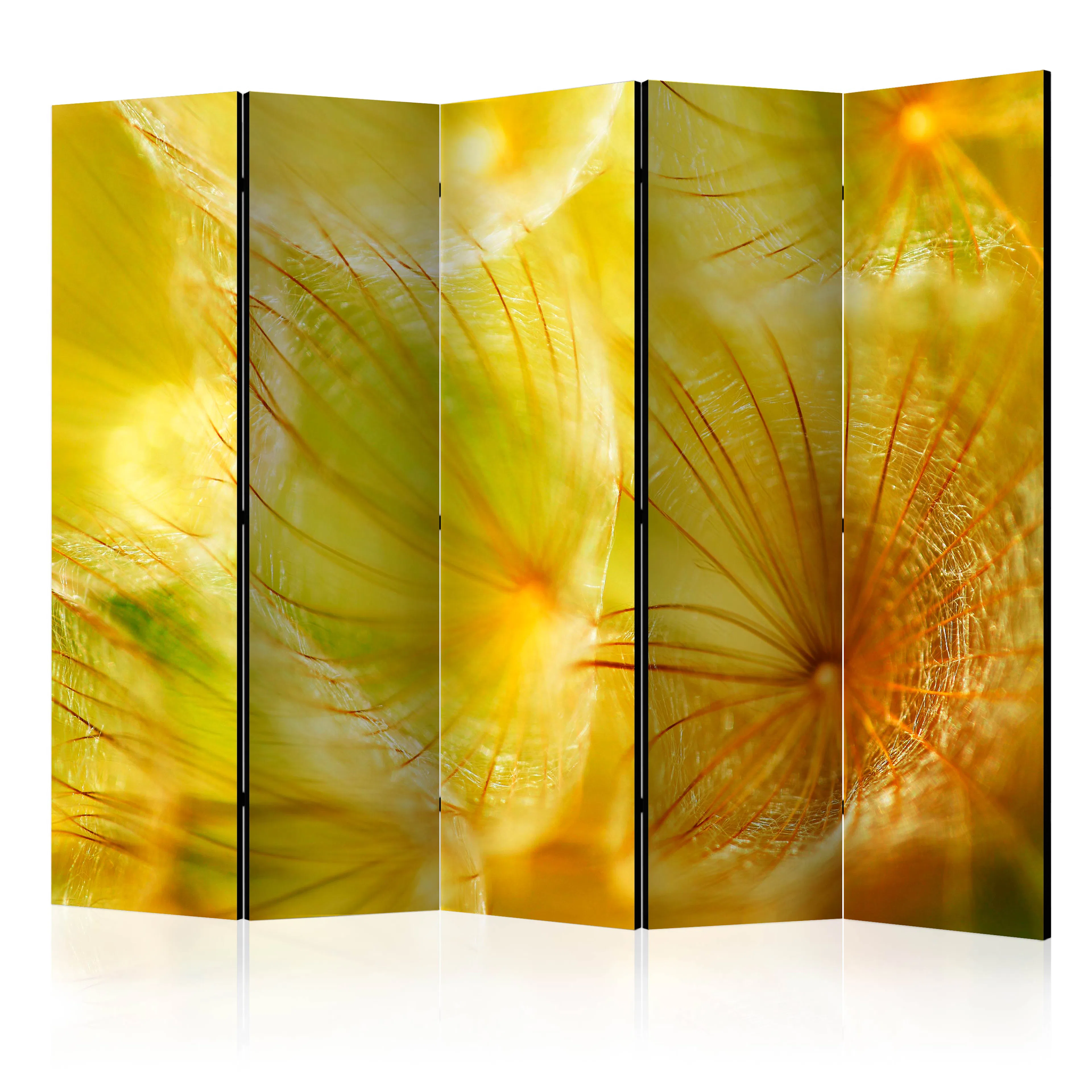 Rumsavdelare Arkiio Soft Dandelion Flower II 225x172 cm