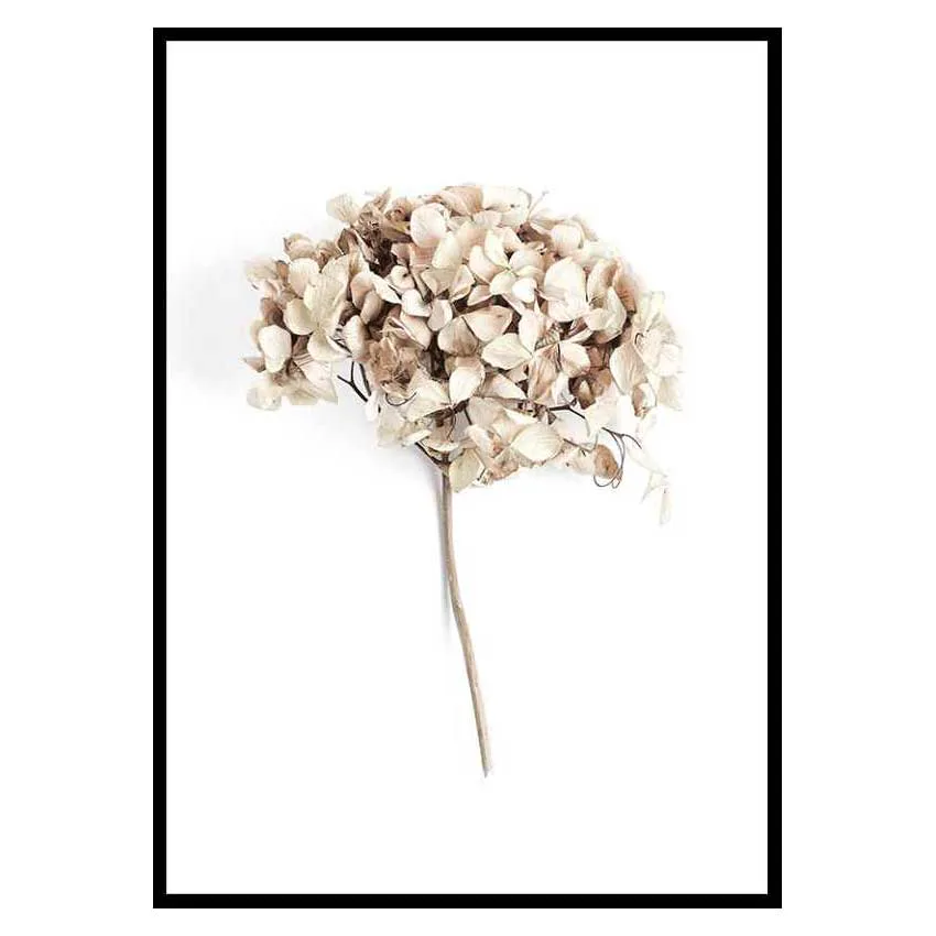 Poster Gallerix Dried Field Flower No2