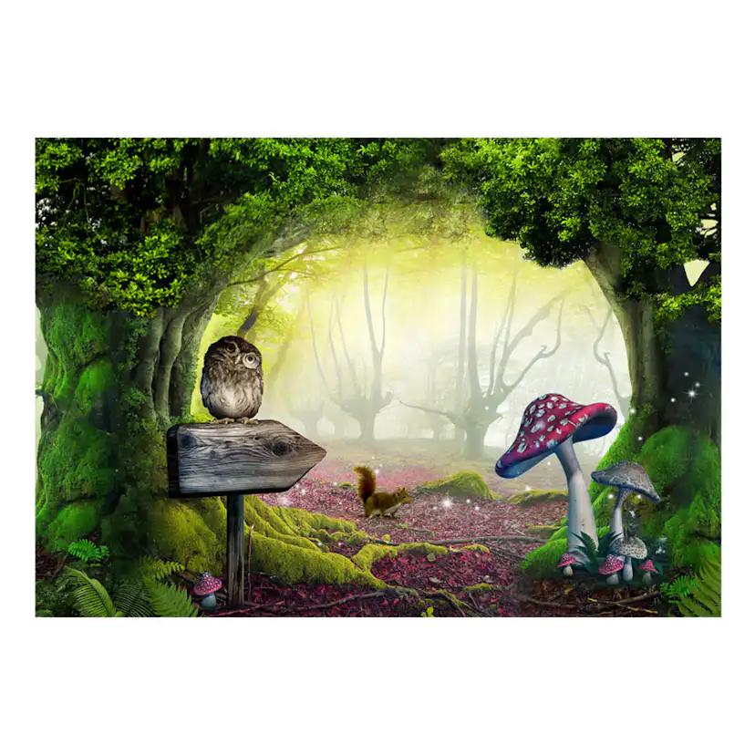 Fototapet Arkiio Owlish Corner