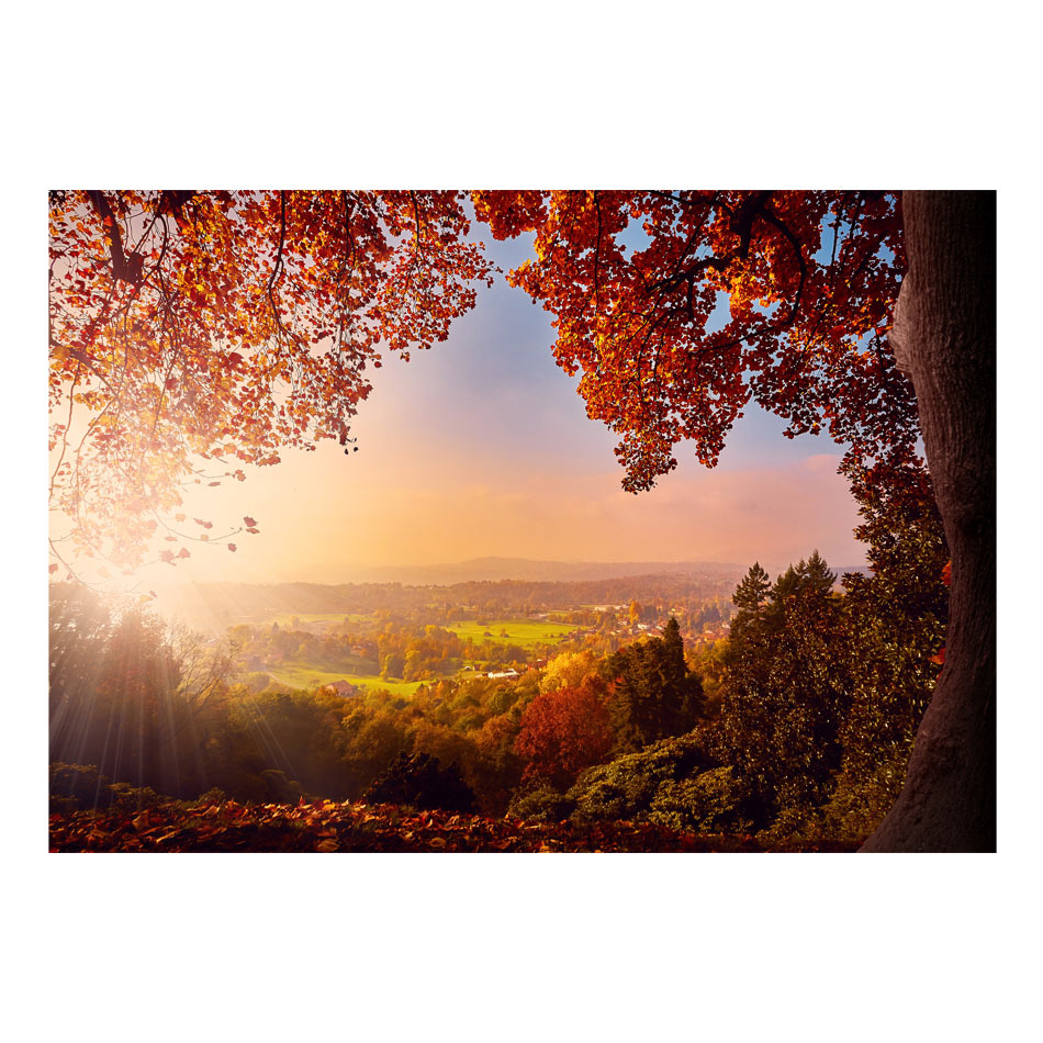 Fototapet Arkiio Autumn Delight