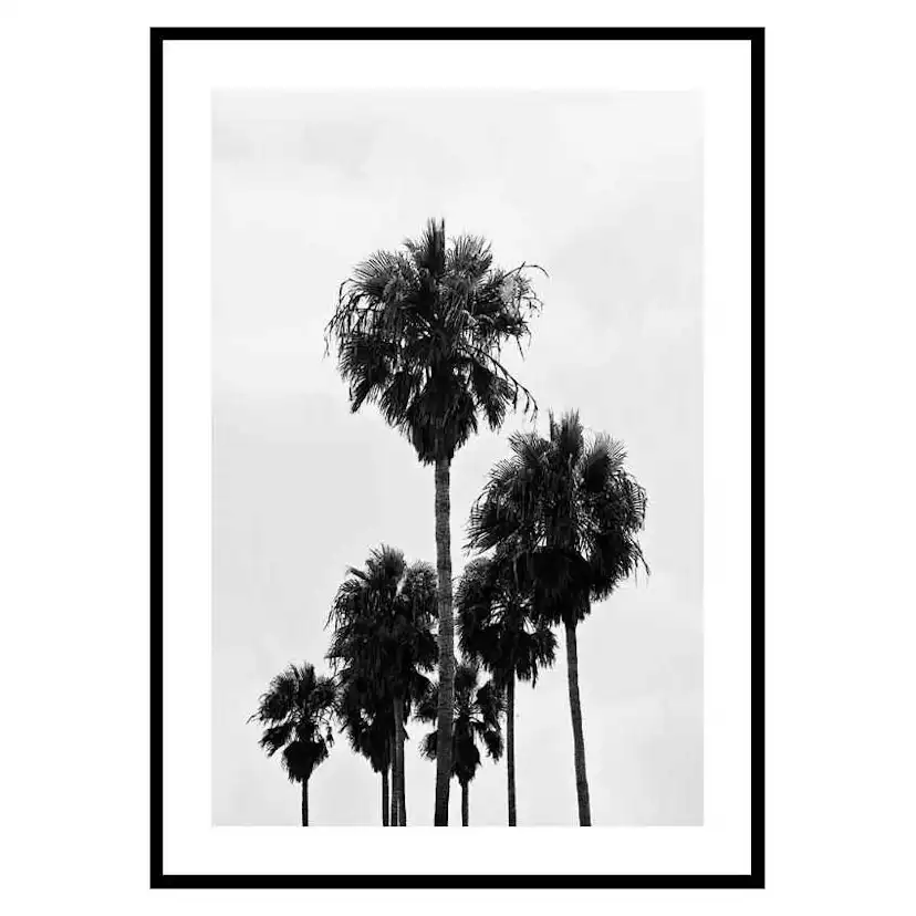 Poster Gallerix L.A Palm Trees