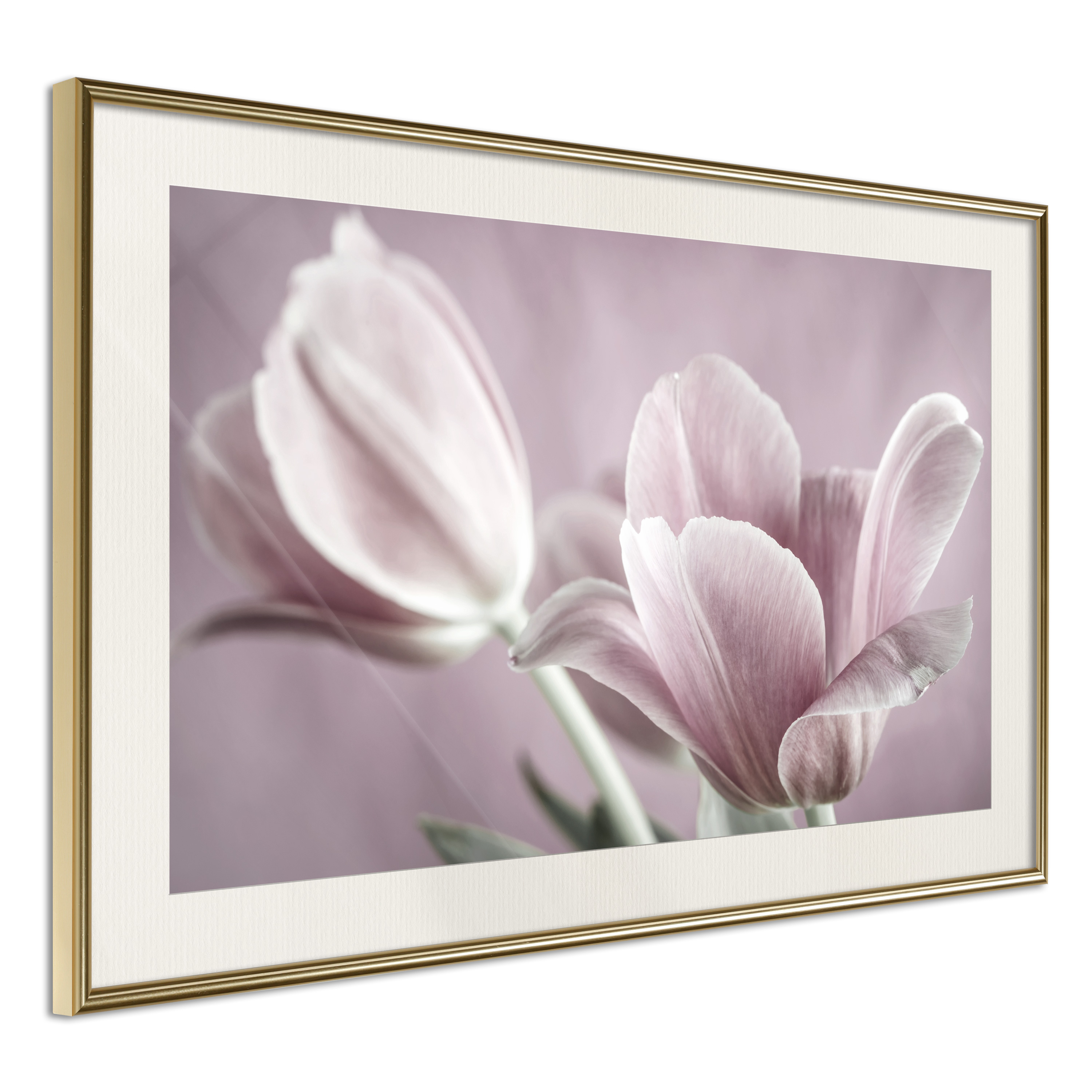 Affisch - Pink Tulips [Poster] 45x30 Guld ram med passepartout, 45x30 cm