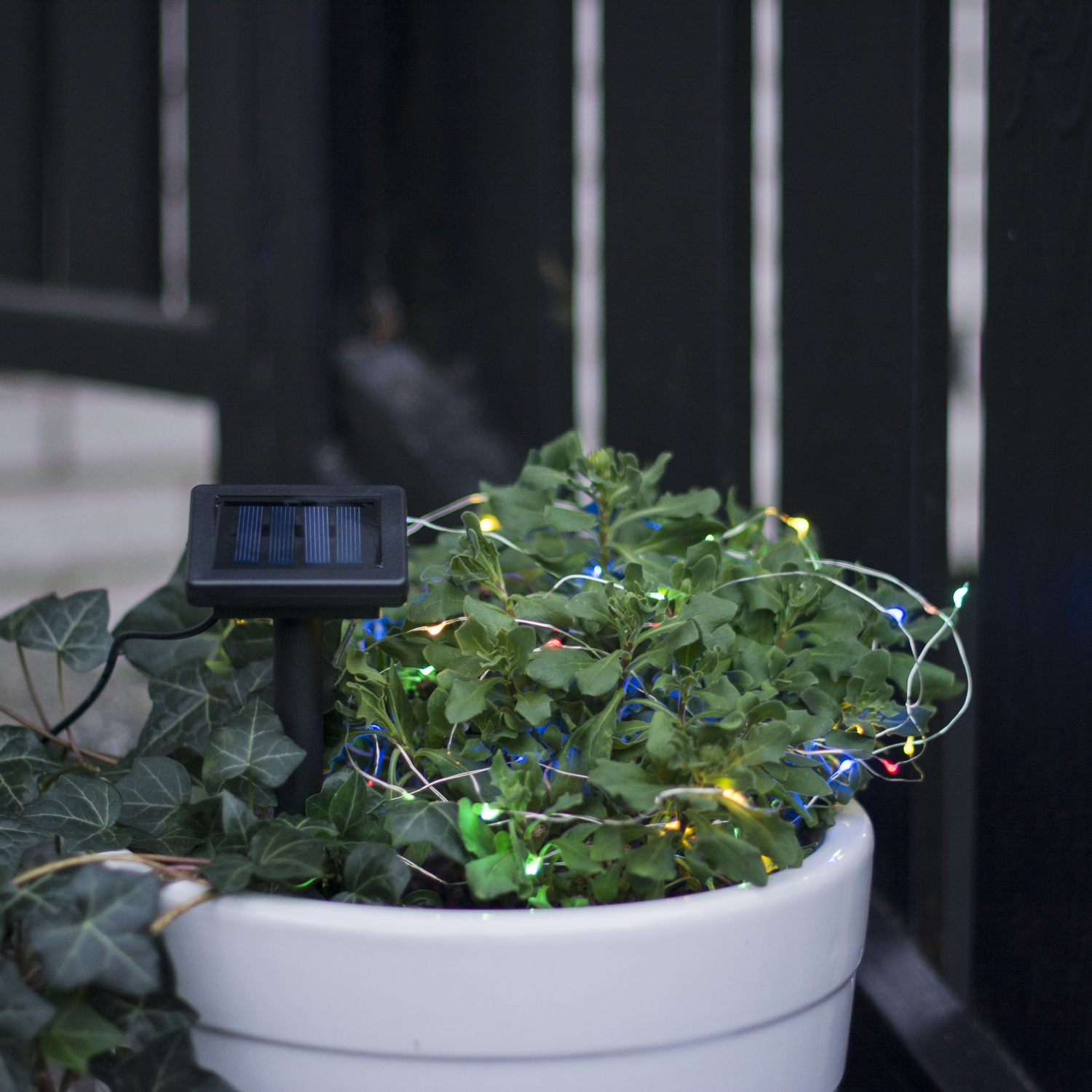 Solcells-ljusslinga Star Trading Dew Drop