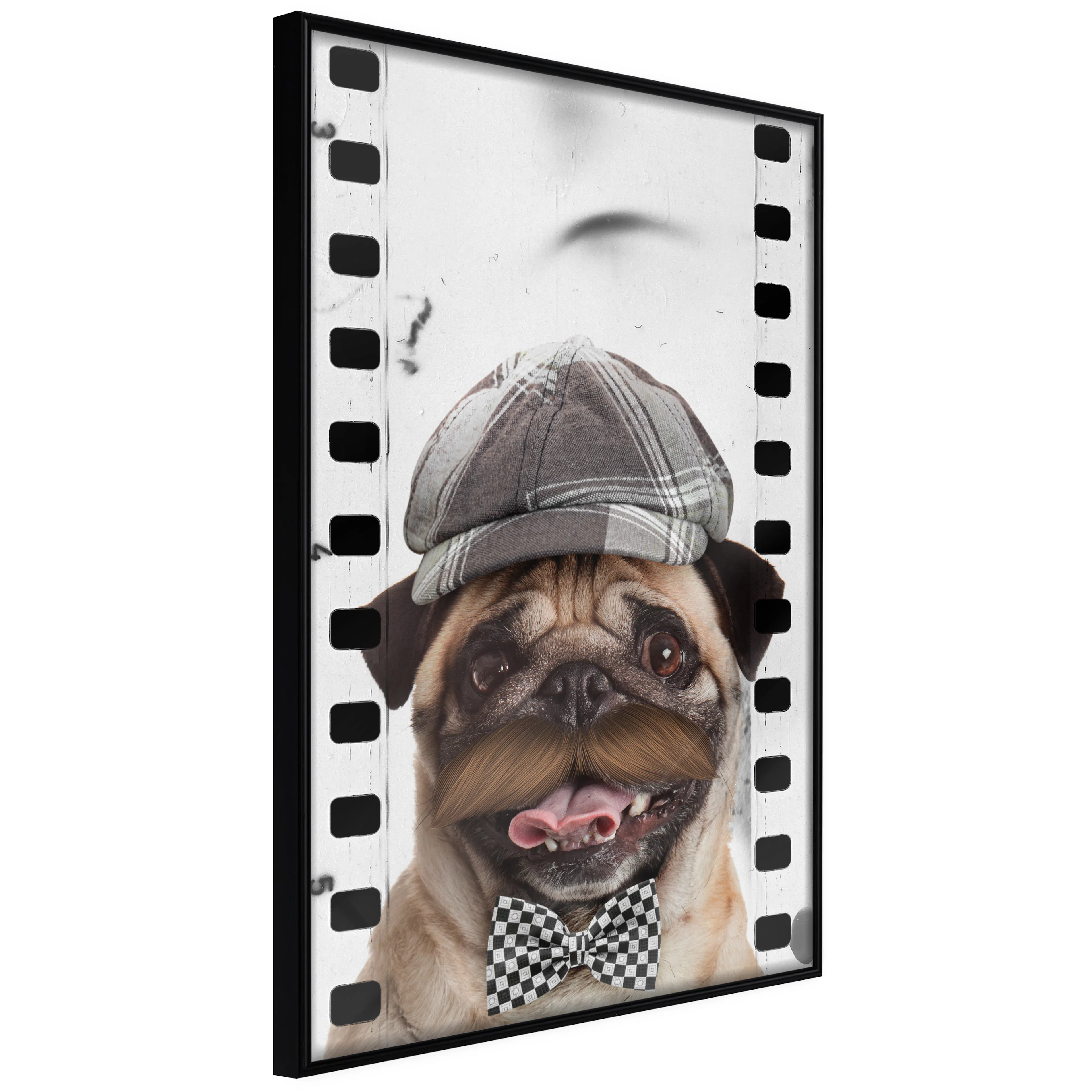 Affisch - Pug In Hat [Poster] 40x60 Svart ram, 40x60 cm
