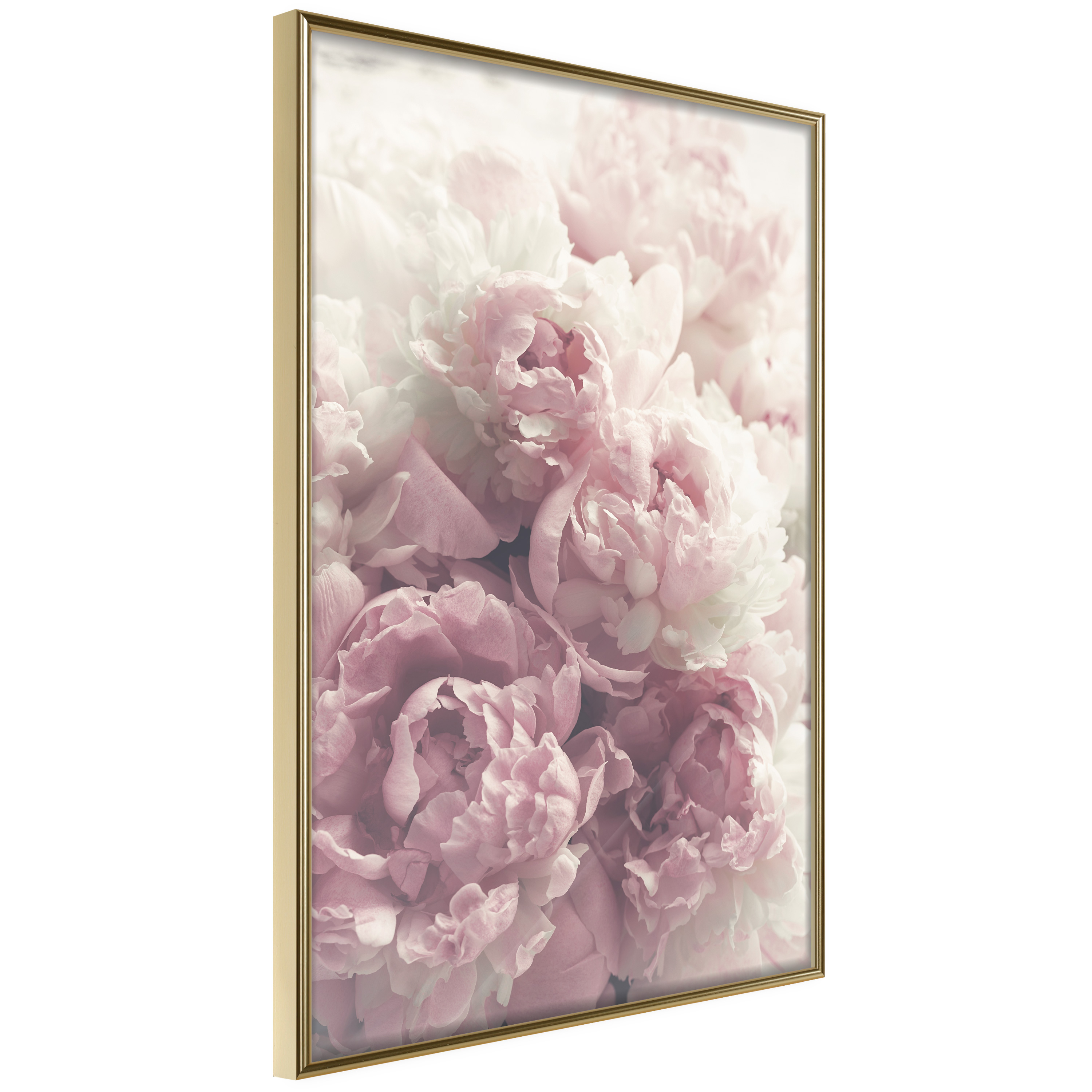 Affisch - Delicate Peonies [Poster] 20x30 Guld ram, 20x30 cm